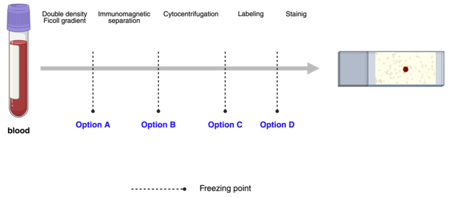 Biomolecules 15 00723 g001