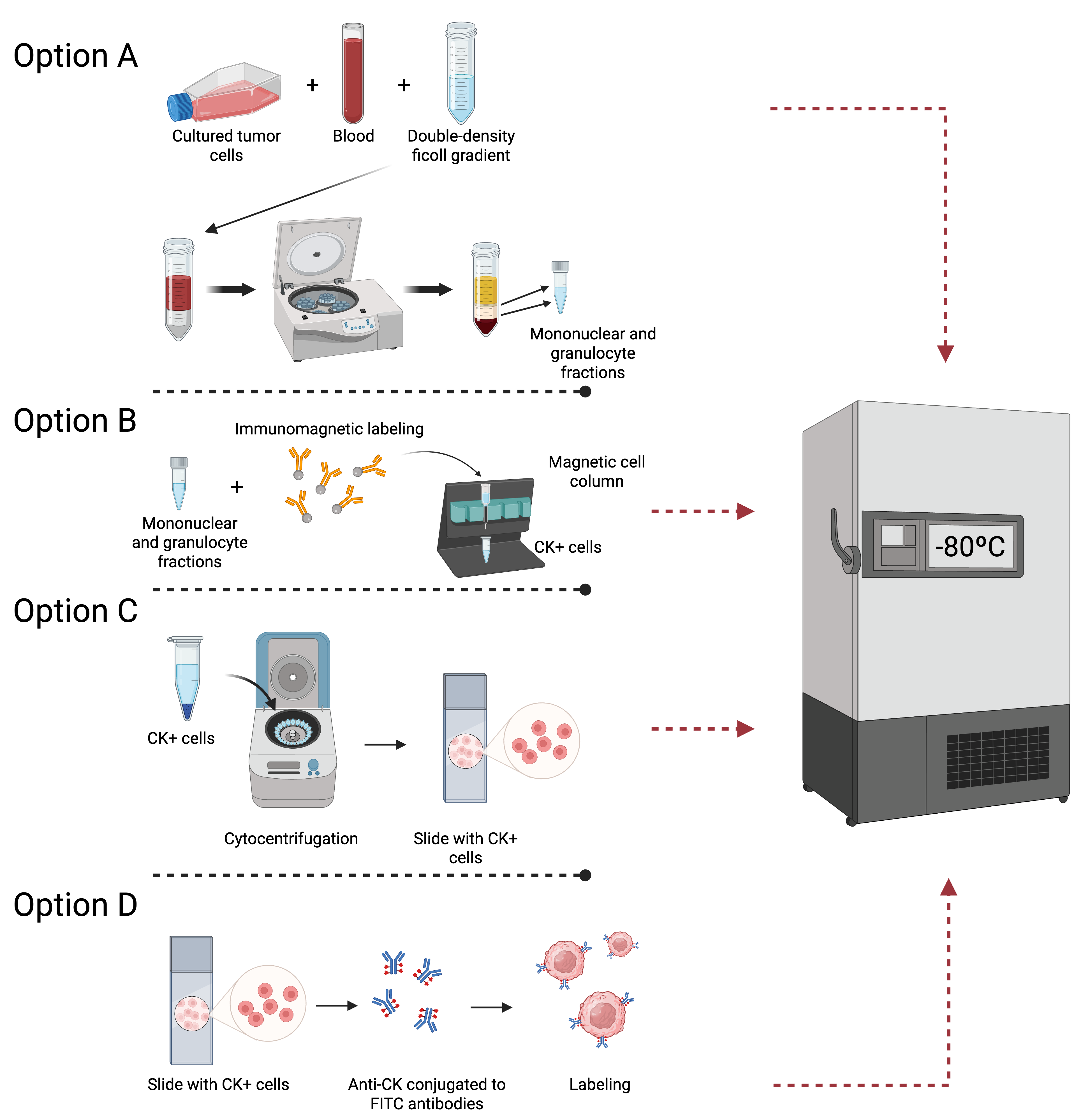 Biomolecules 15 00723 g002