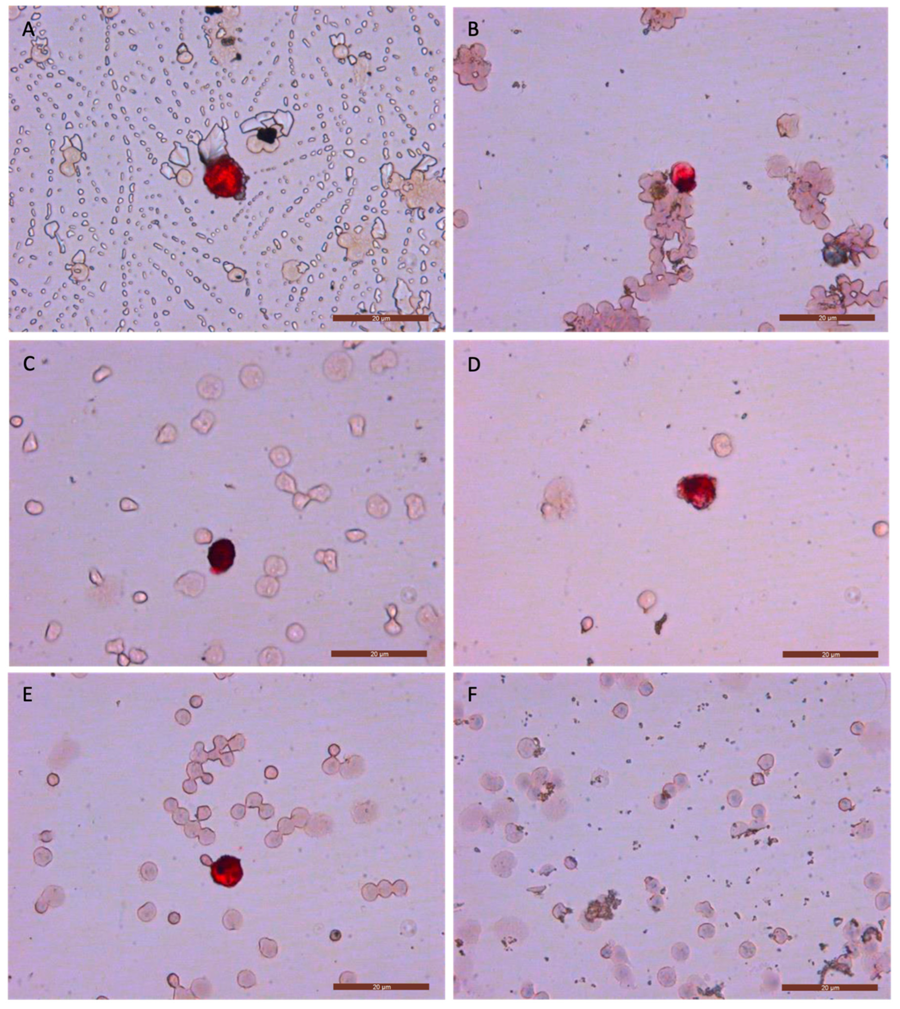 Biomolecules 15 00723 g003