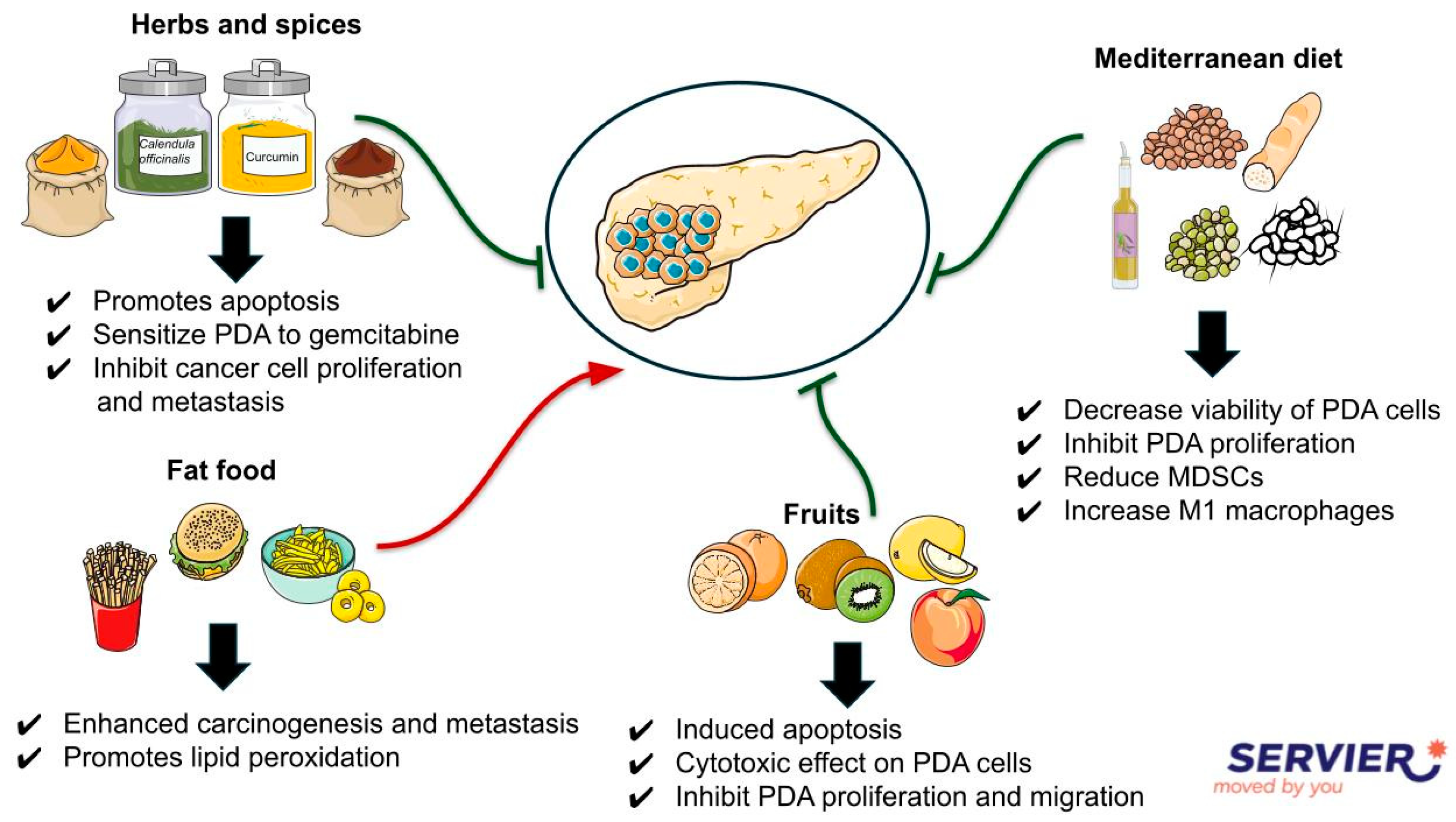 Biomolecules 15 00725 g001 Biomolecules 15 00725 g001
