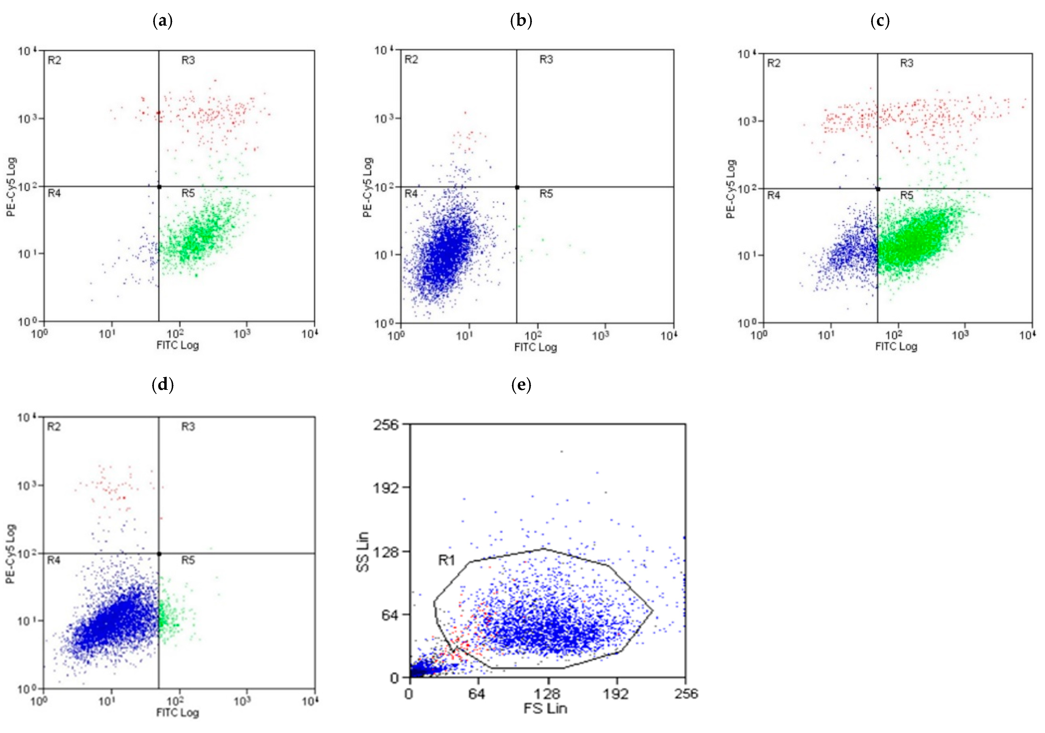 Biomolecules 15 00726 g006