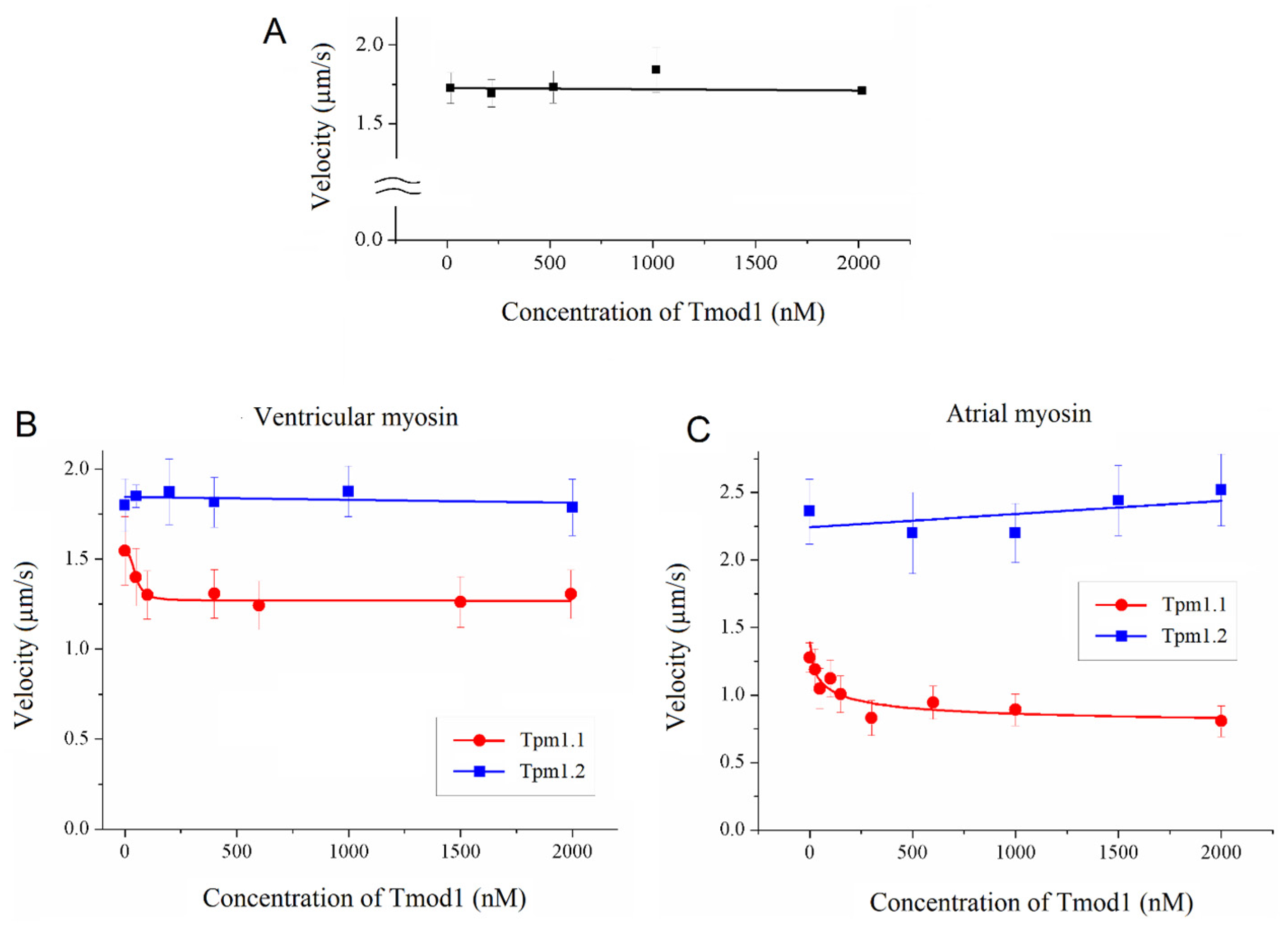 Biomolecules 15 00727 g001
