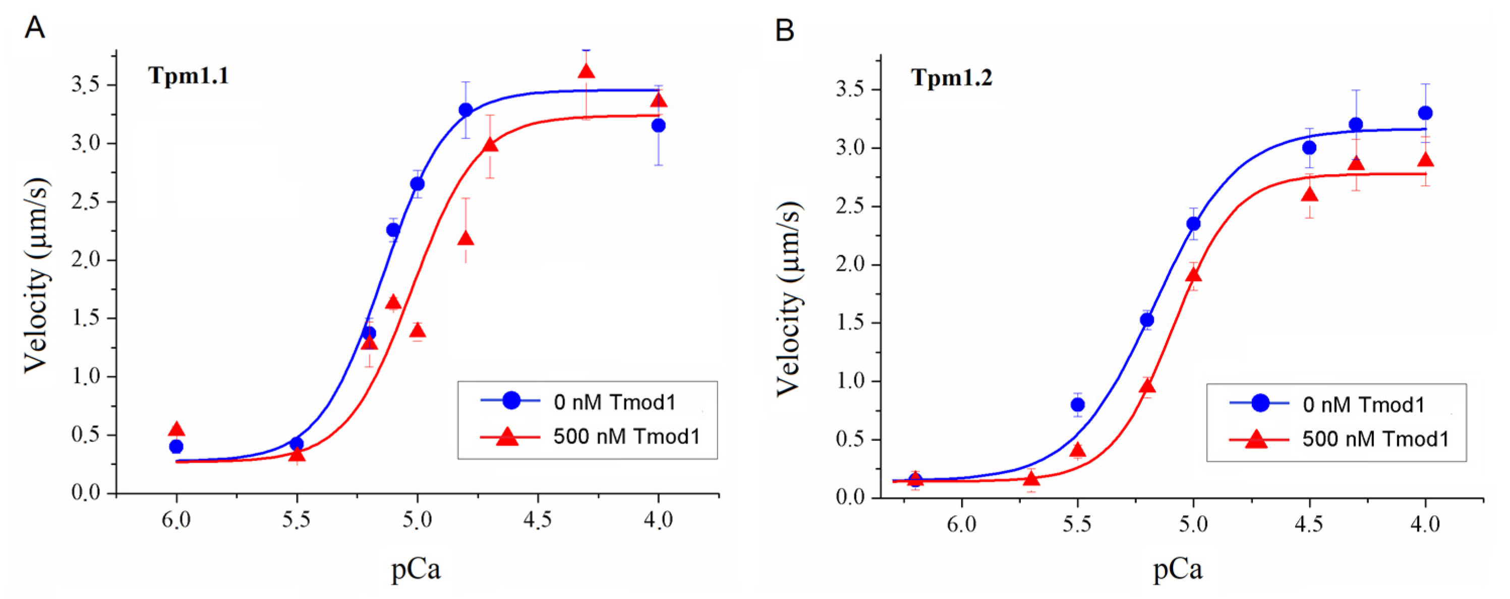 Biomolecules 15 00727 g005