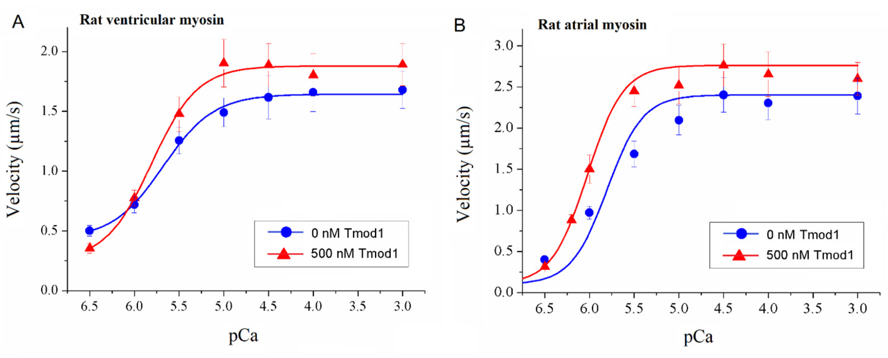 Biomolecules 15 00727 g006