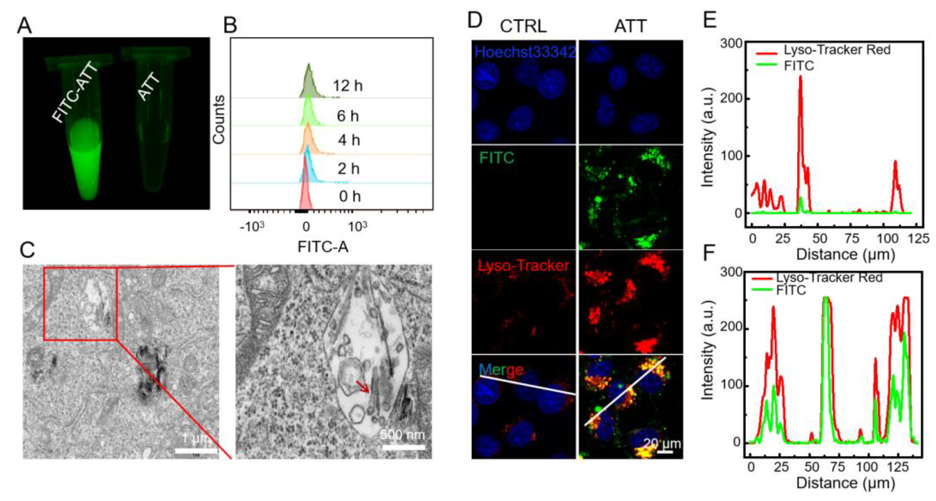 Biomolecules 15 00728 g002
