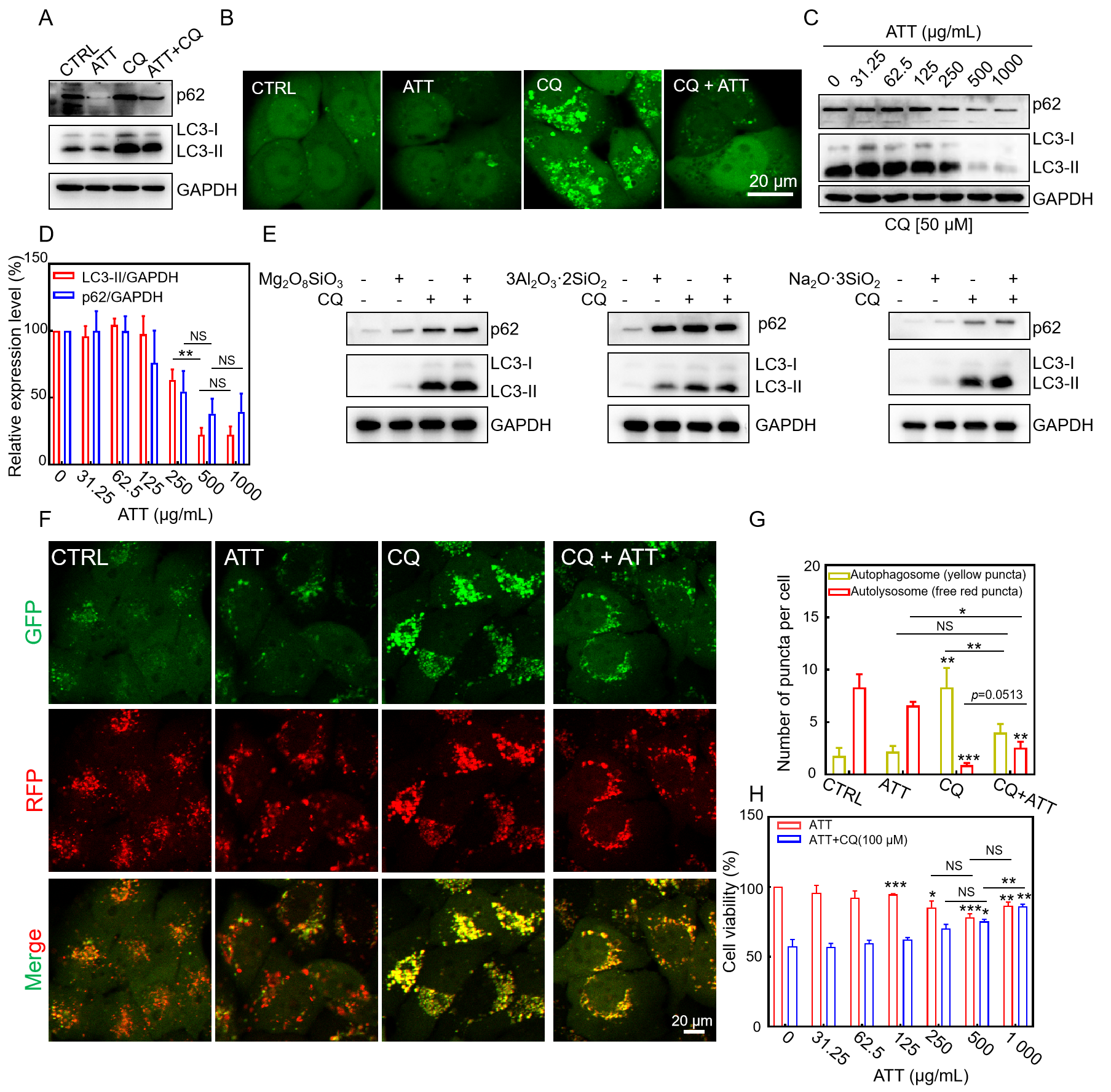 Biomolecules 15 00728 g004