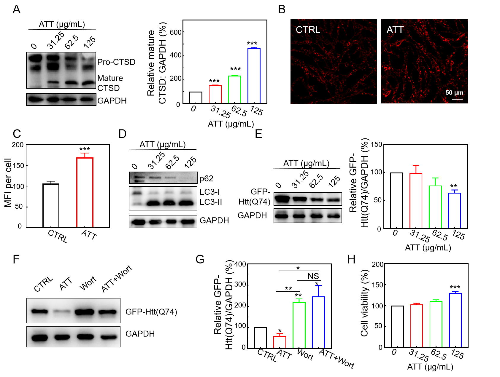 Biomolecules 15 00728 g005