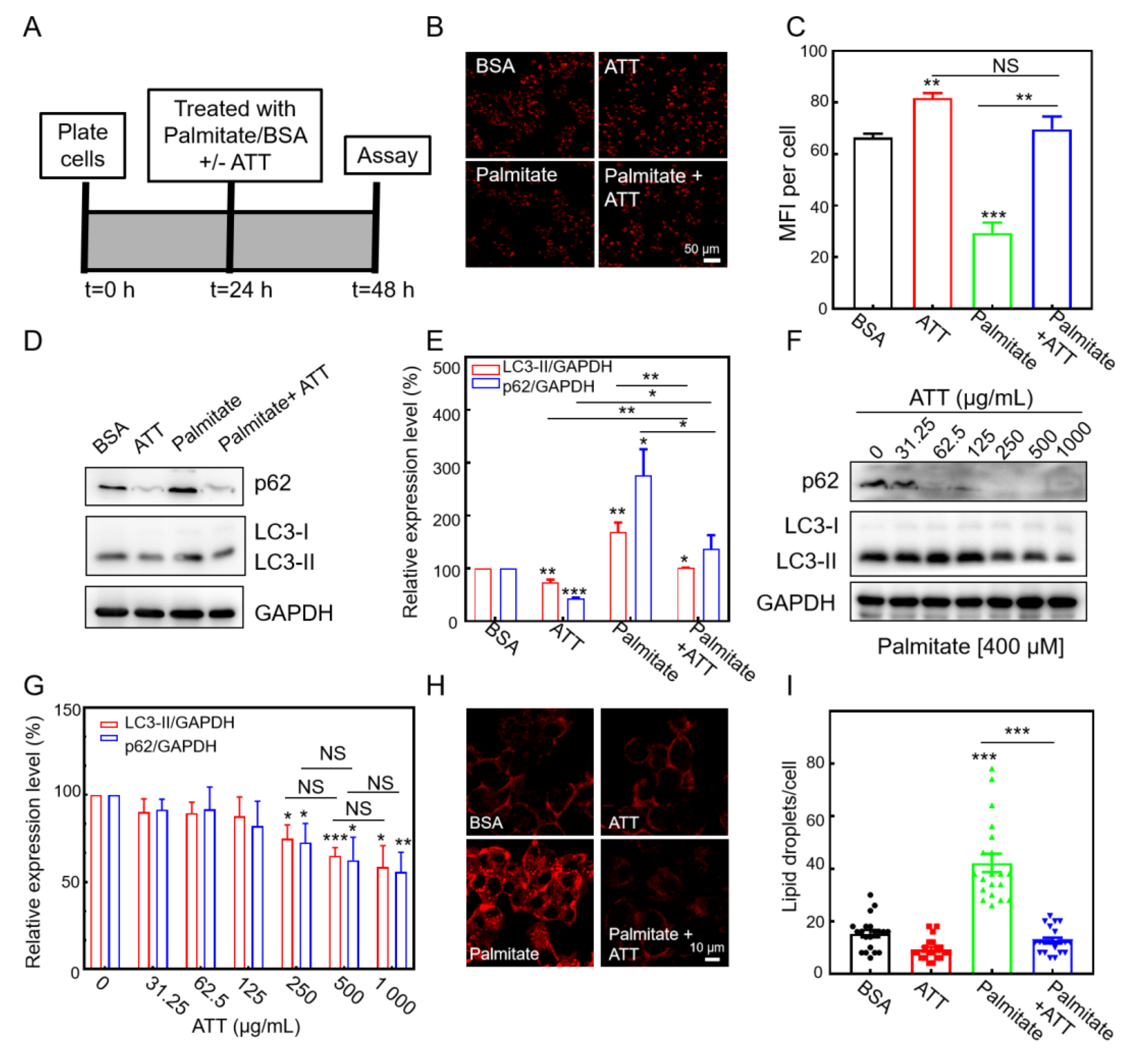 Biomolecules 15 00728 g006
