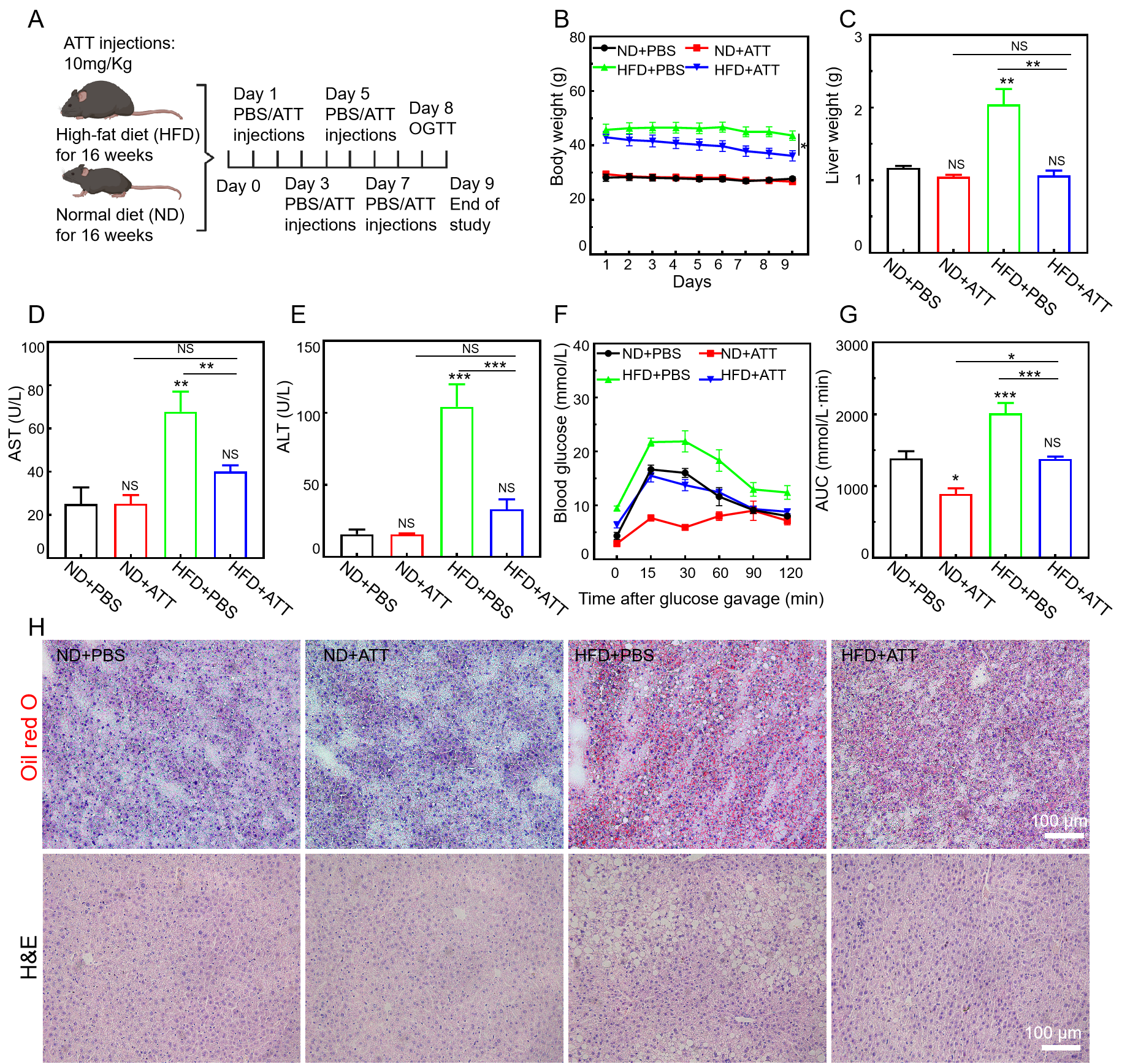 Biomolecules 15 00728 g007