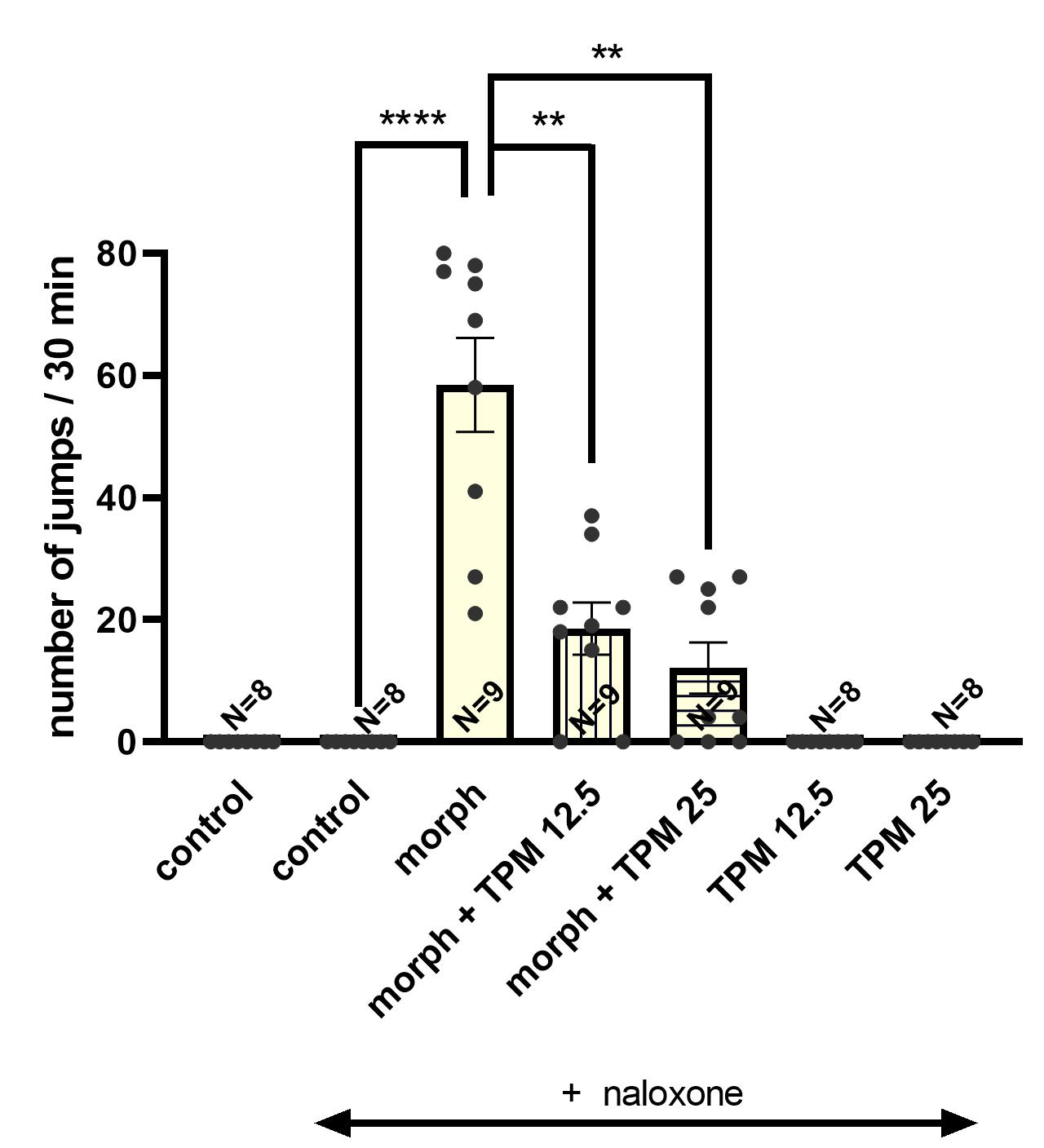 Biomolecules 15 00730 g004