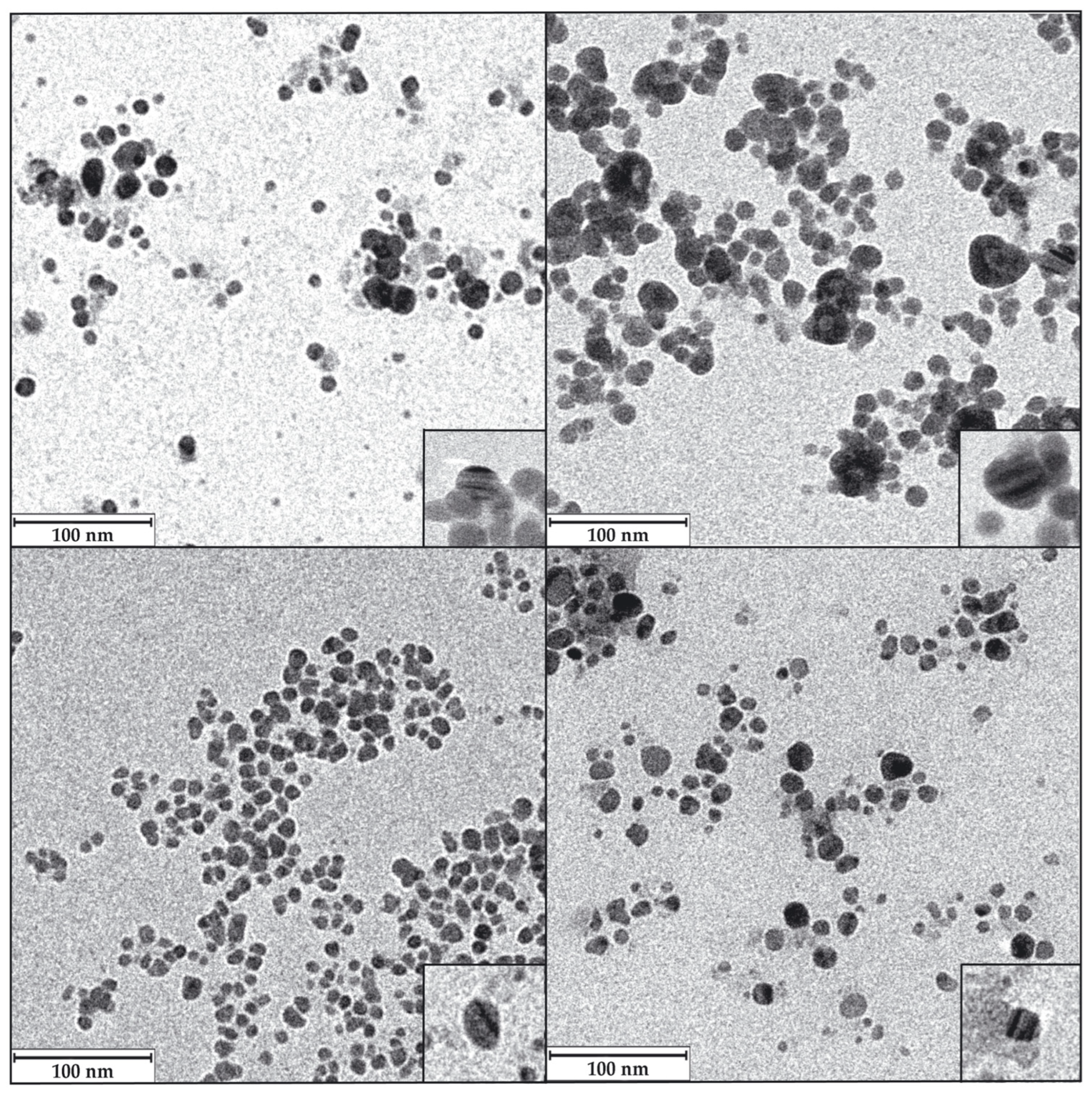Biomolecules 15 00731 g008