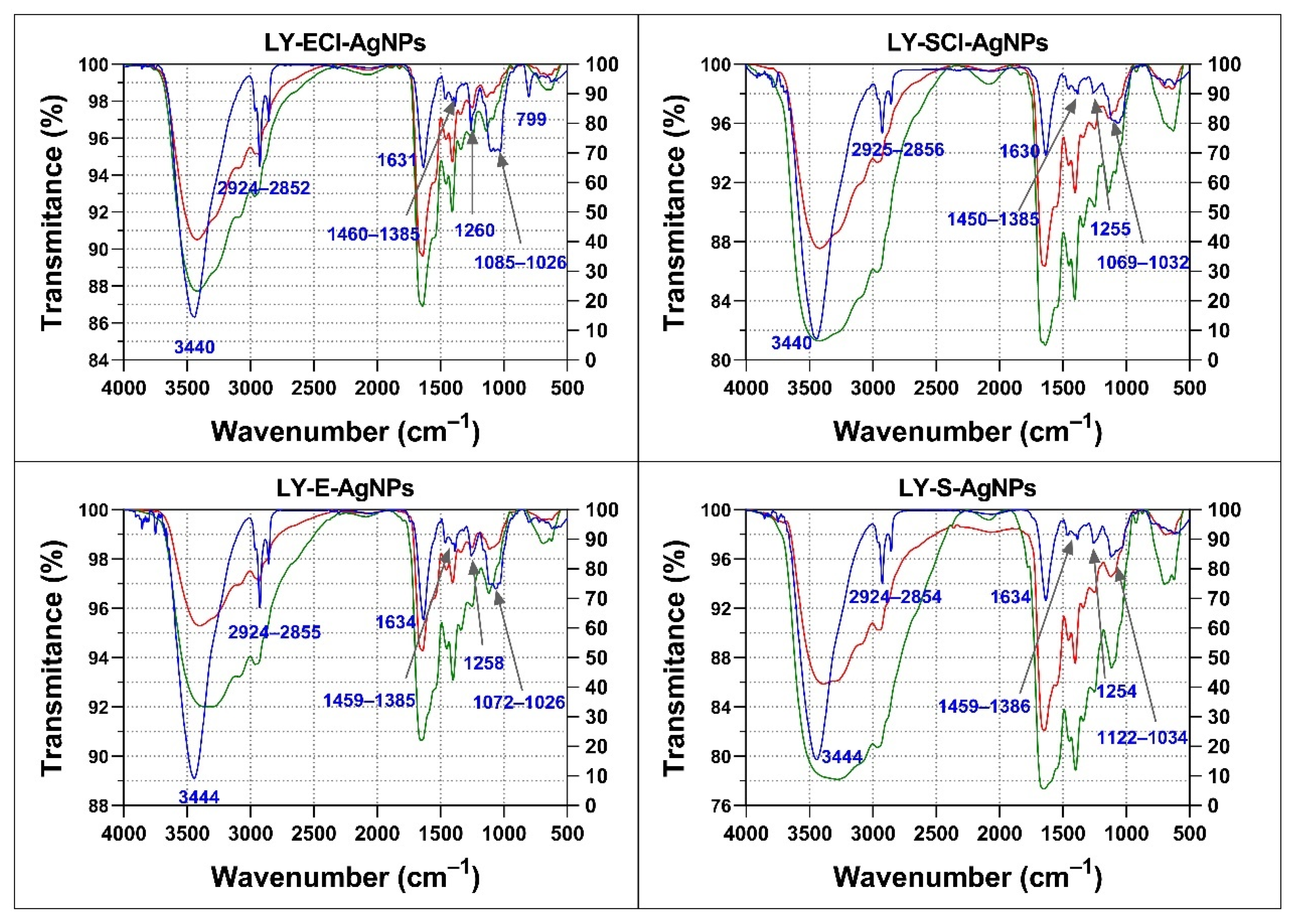 Biomolecules 15 00731 g010