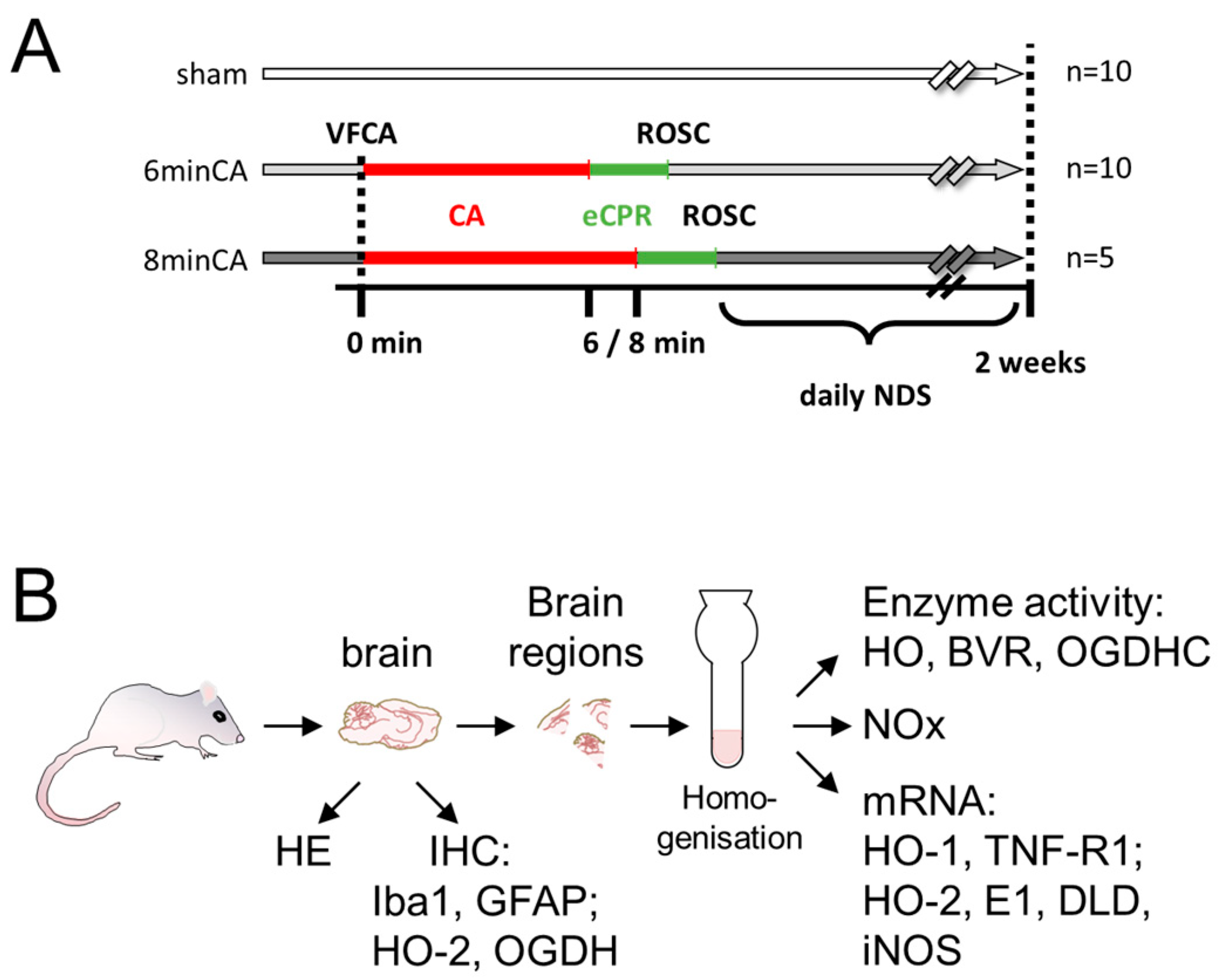 Biomolecules 15 00732 g001