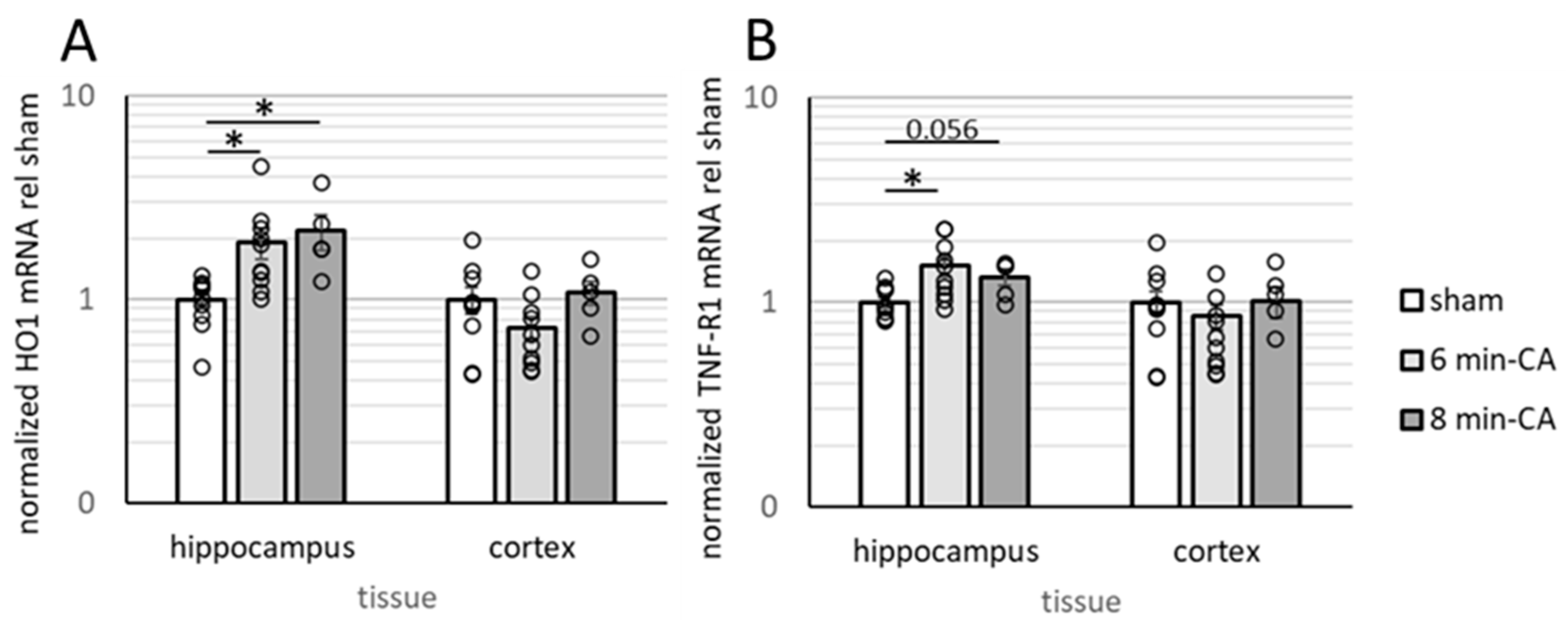 Biomolecules 15 00732 g004