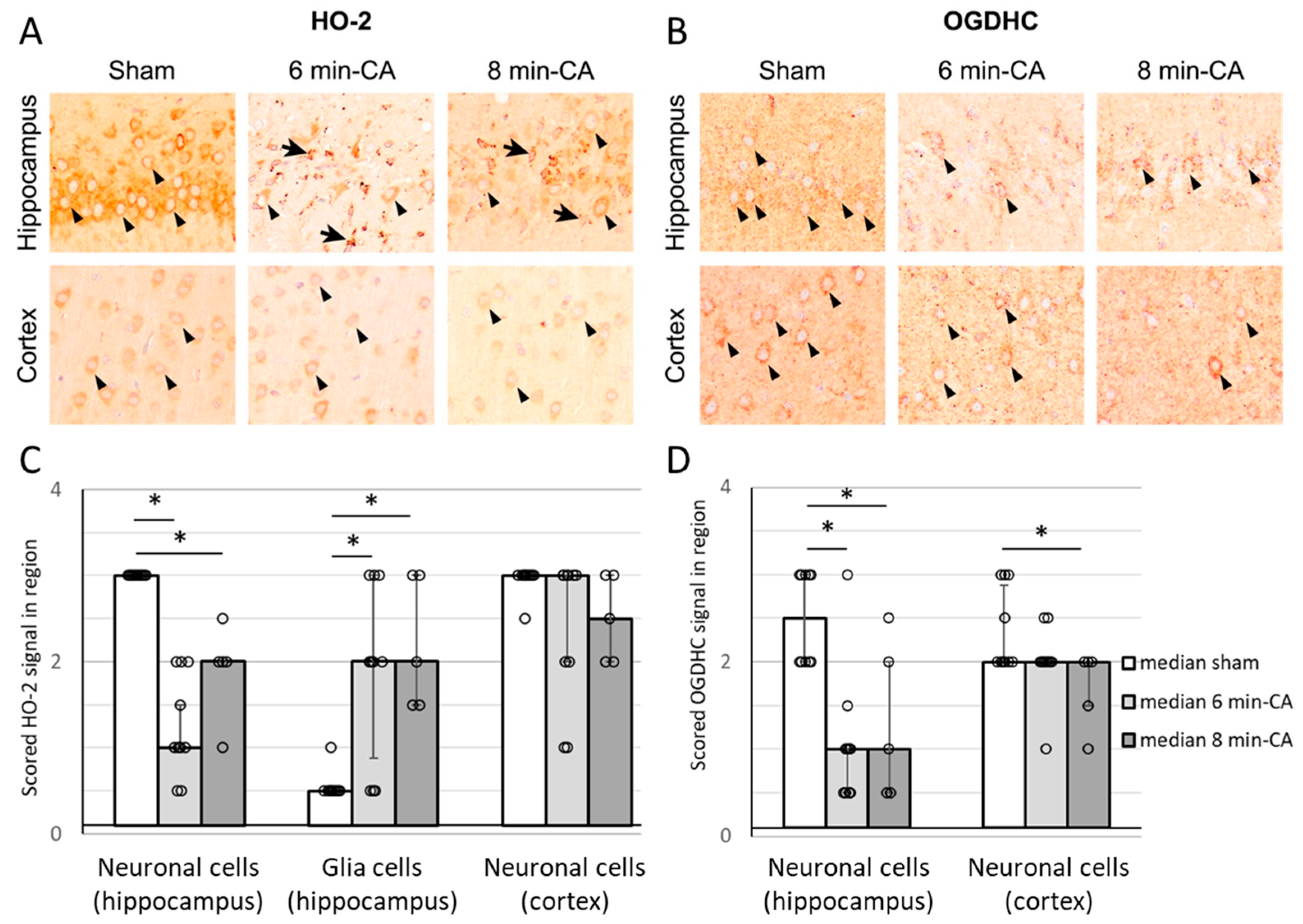 Biomolecules 15 00732 g007