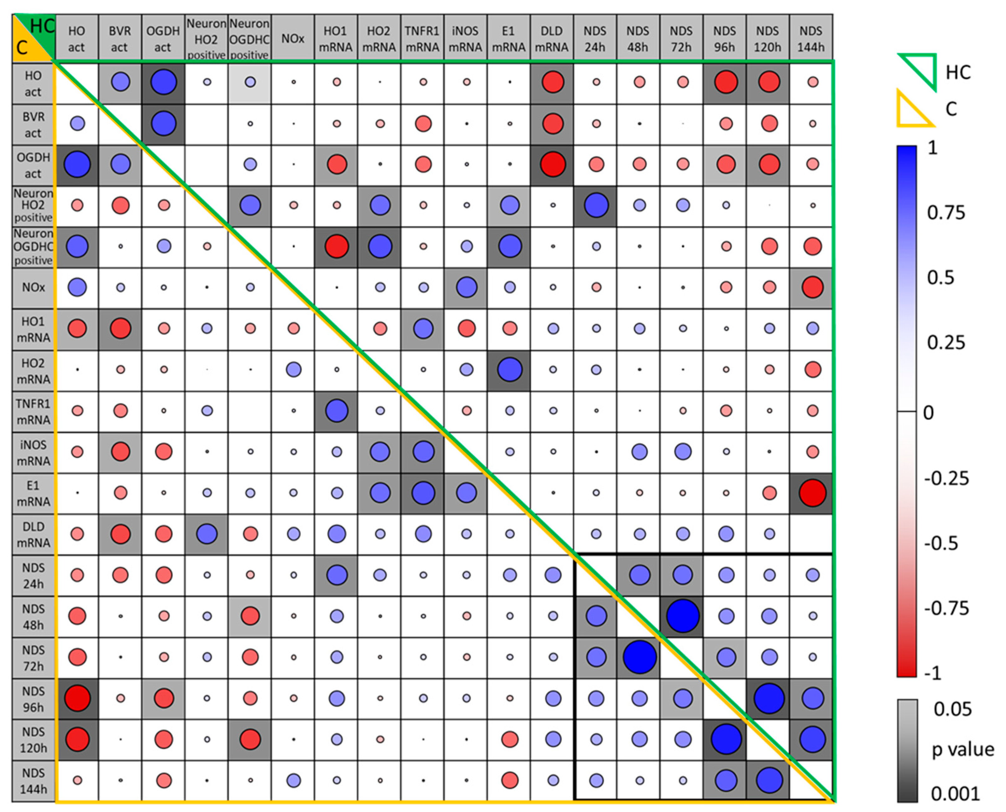 Biomolecules 15 00732 g008