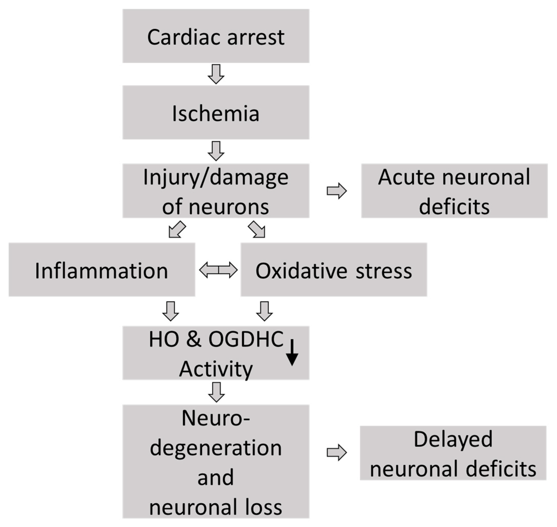 Biomolecules 15 00732 g009