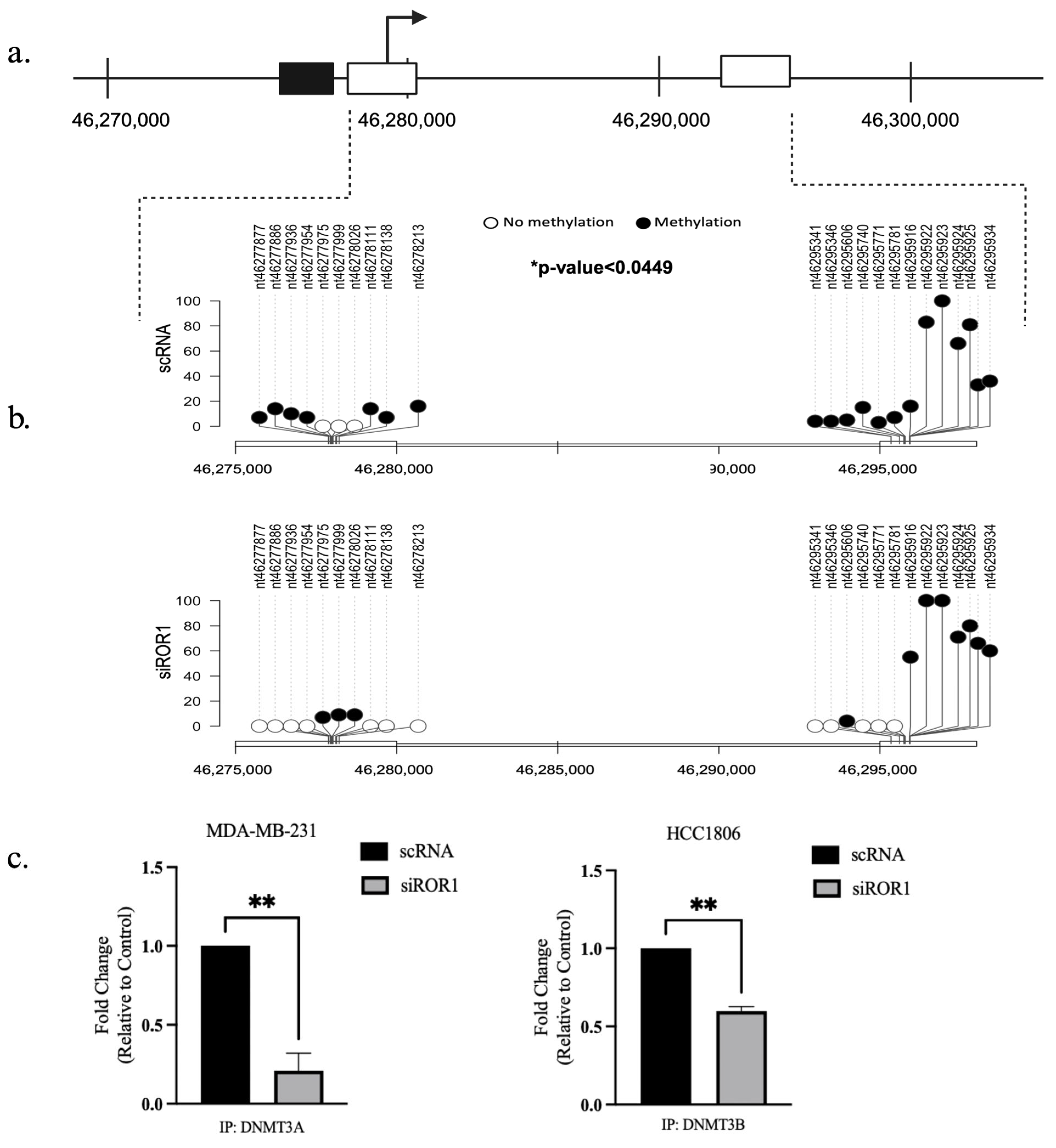 Biomolecules 15 00734 g003