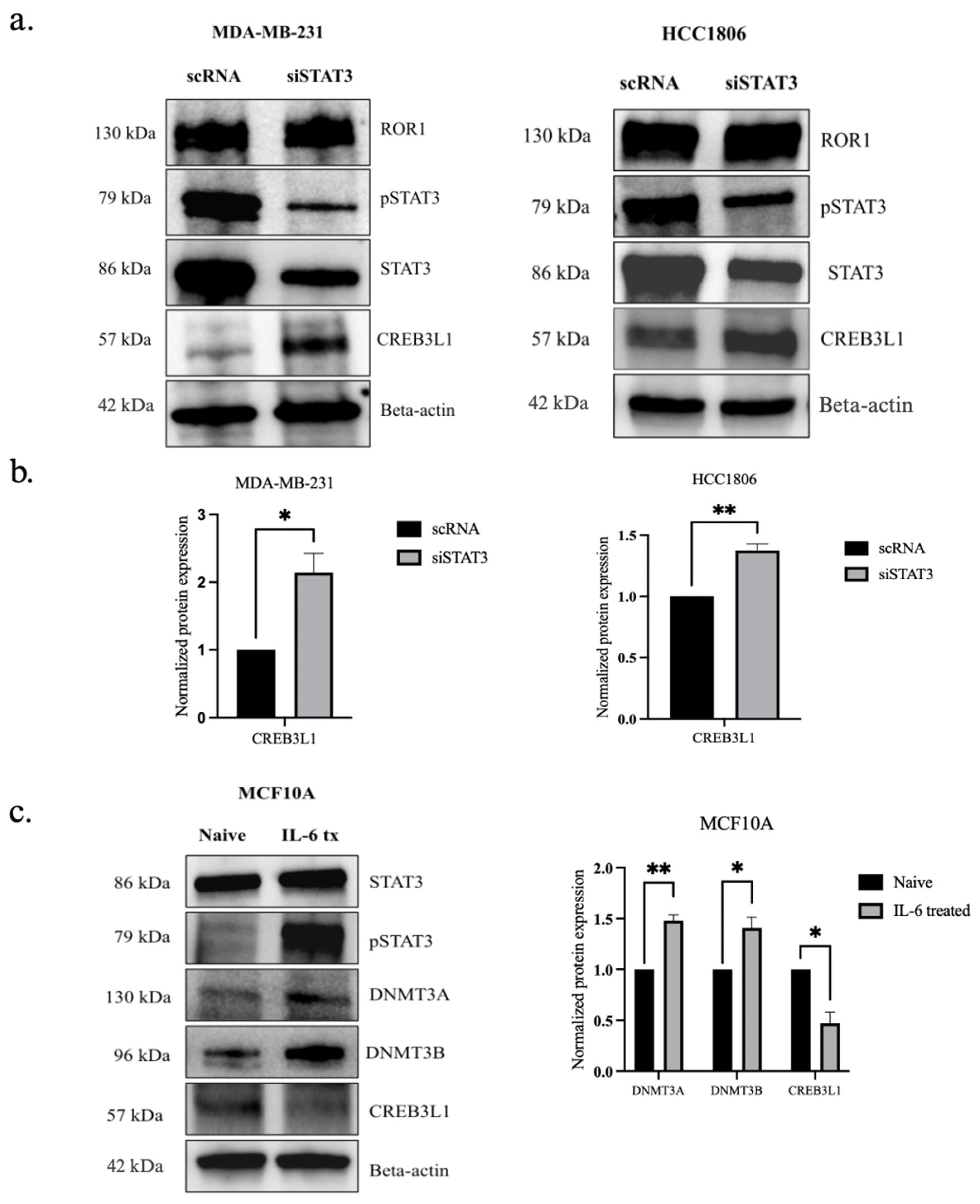 Biomolecules 15 00734 g006