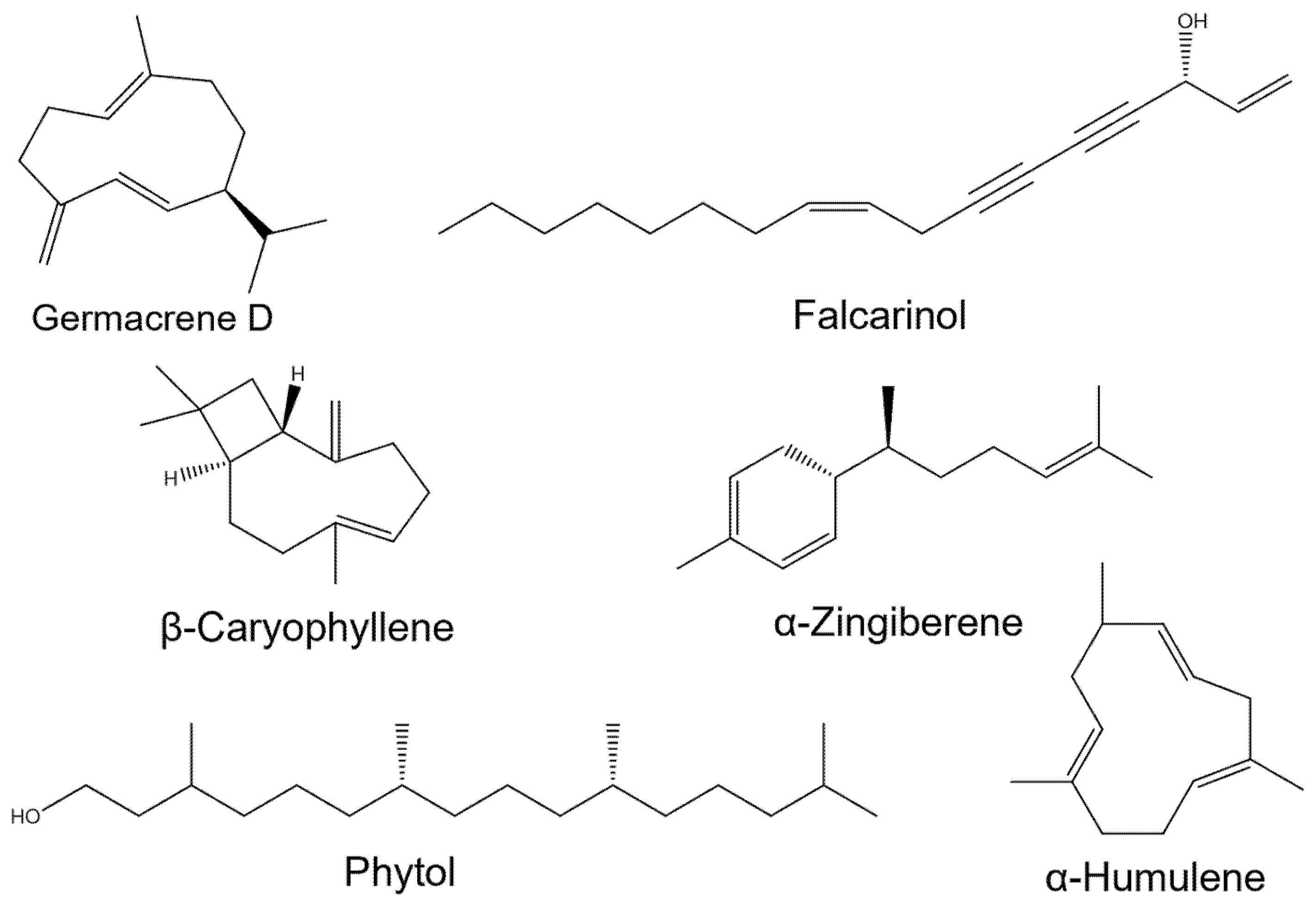 Biomolecules 15 00736 g002
