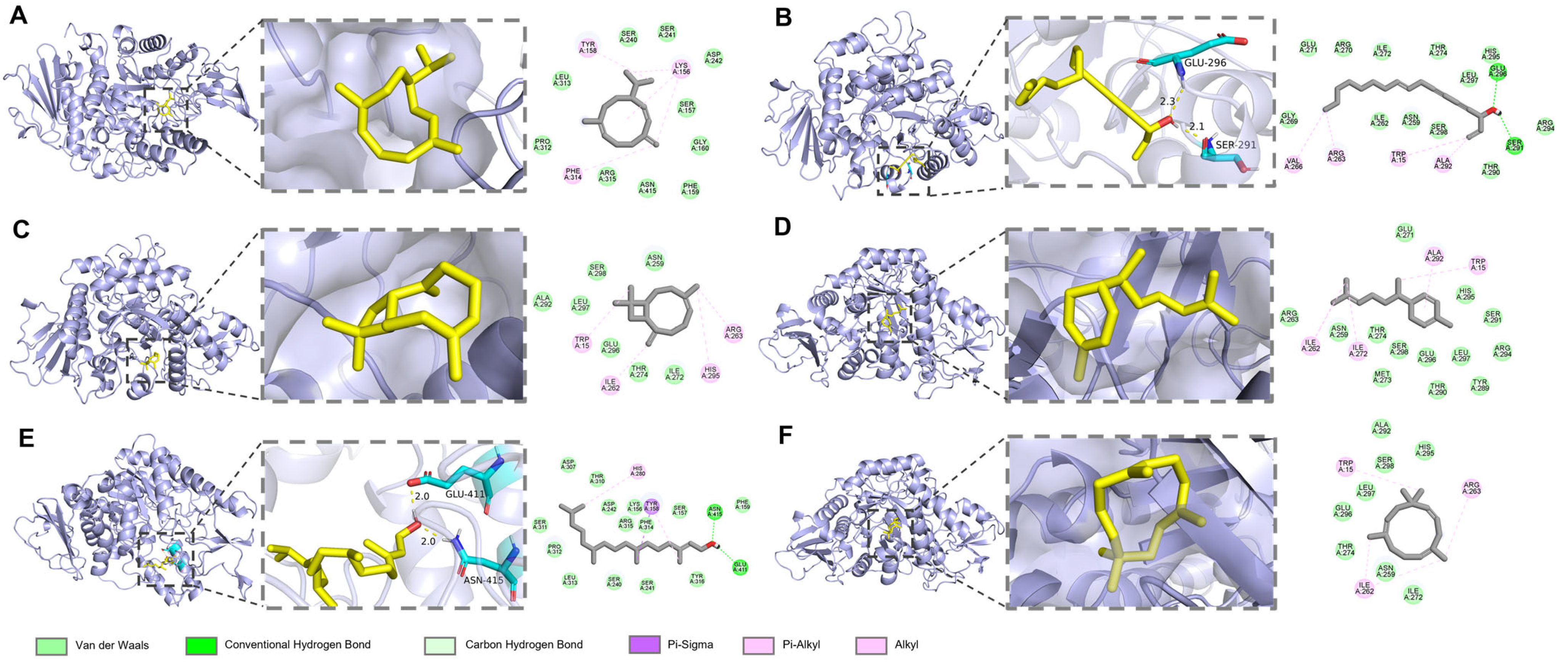 Biomolecules 15 00736 g006