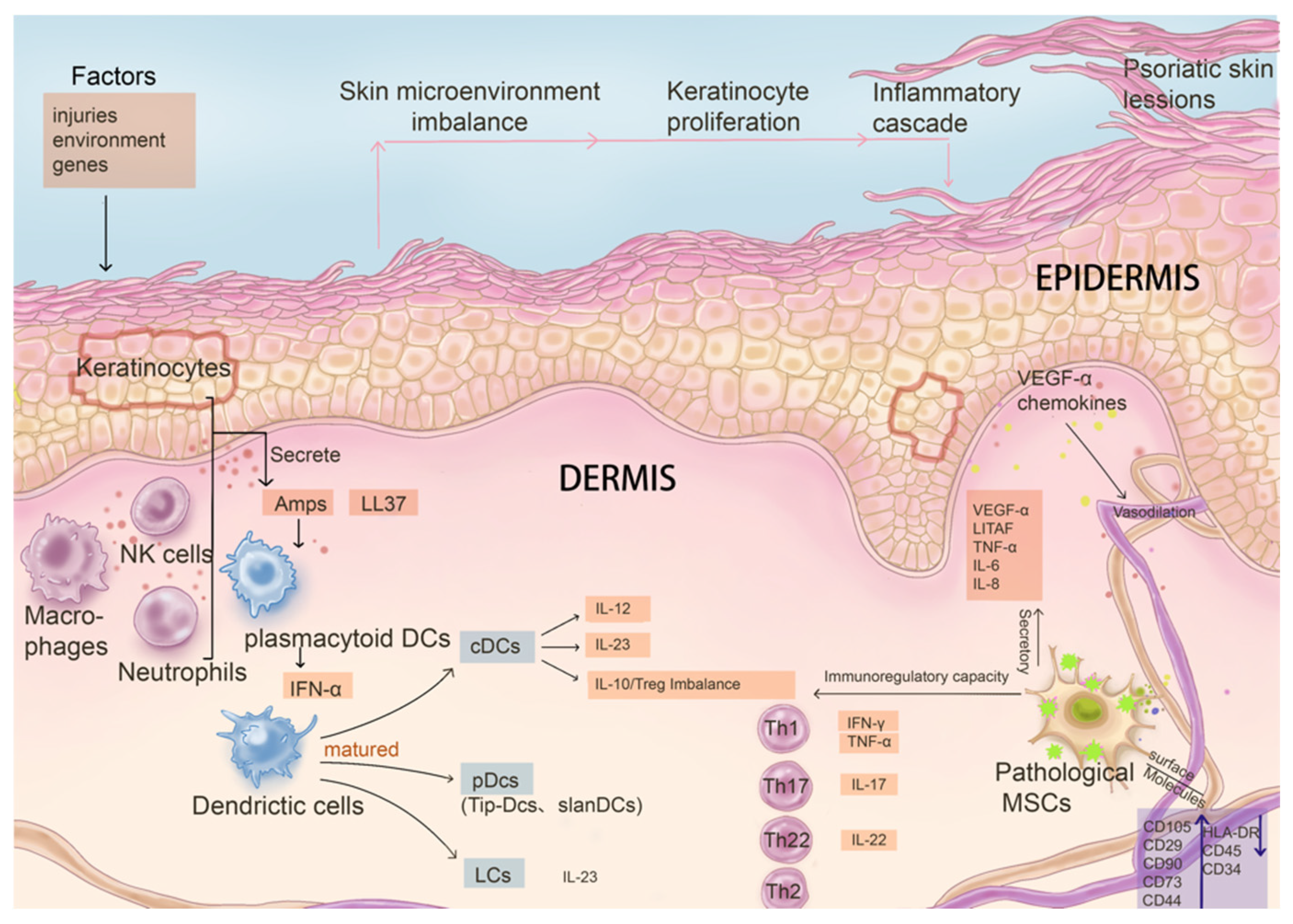 Biomolecules 15 00737 g002
