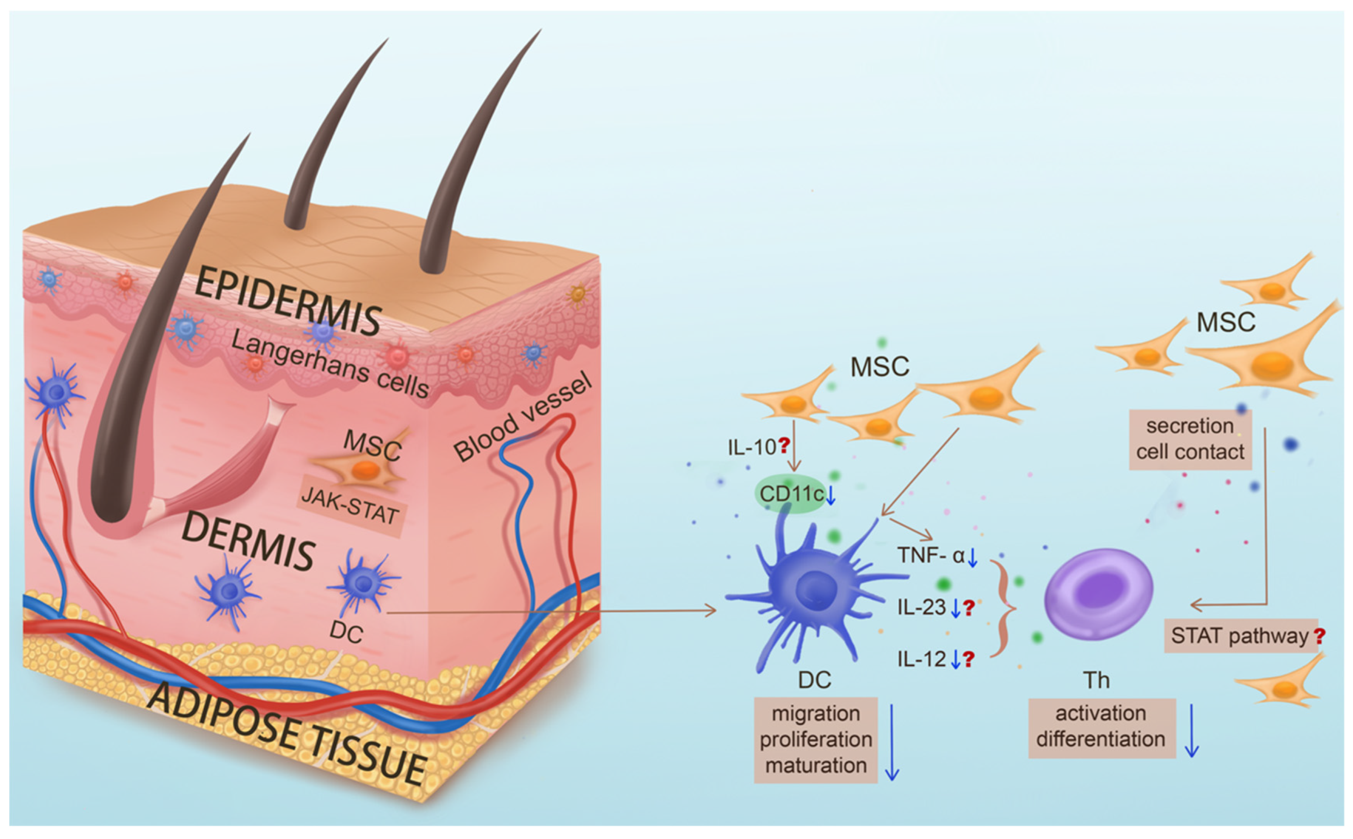 Biomolecules 15 00737 g003