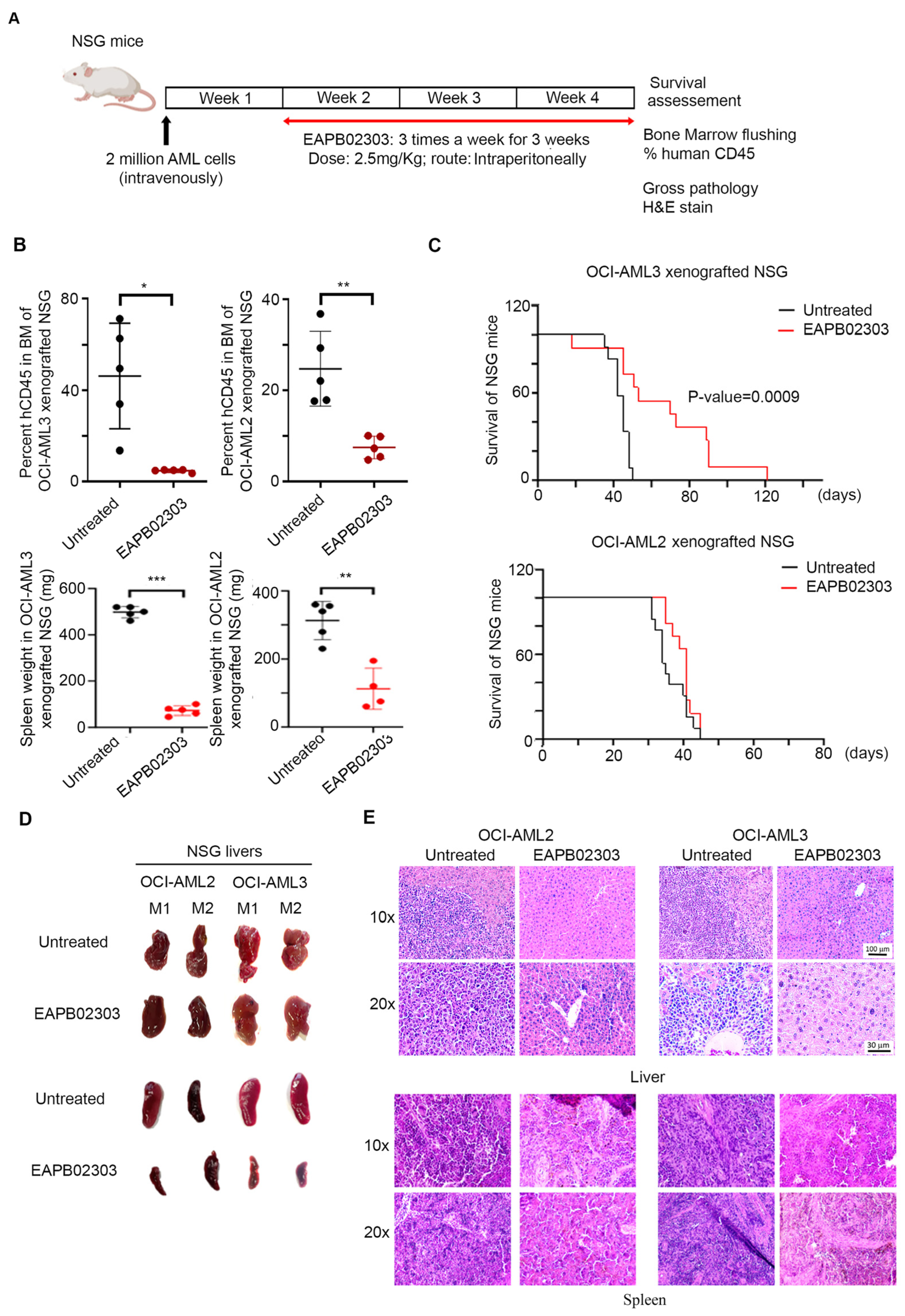 Biomolecules 15 00741 g005