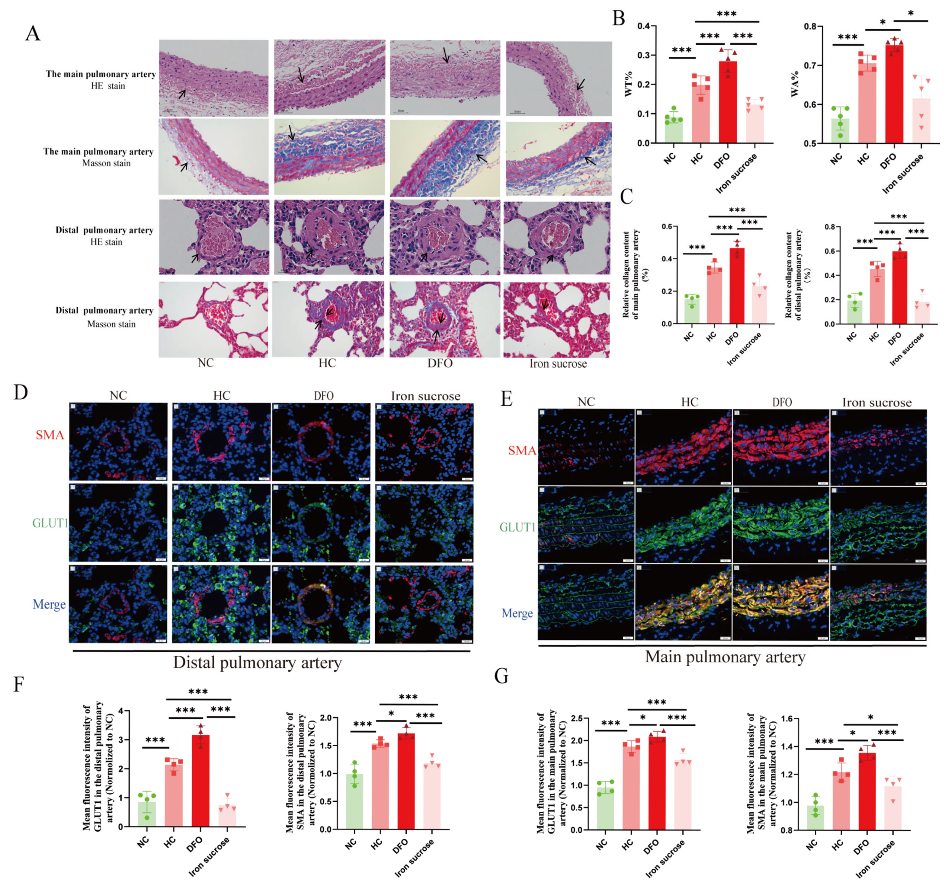 Biomolecules 15 00742 g002