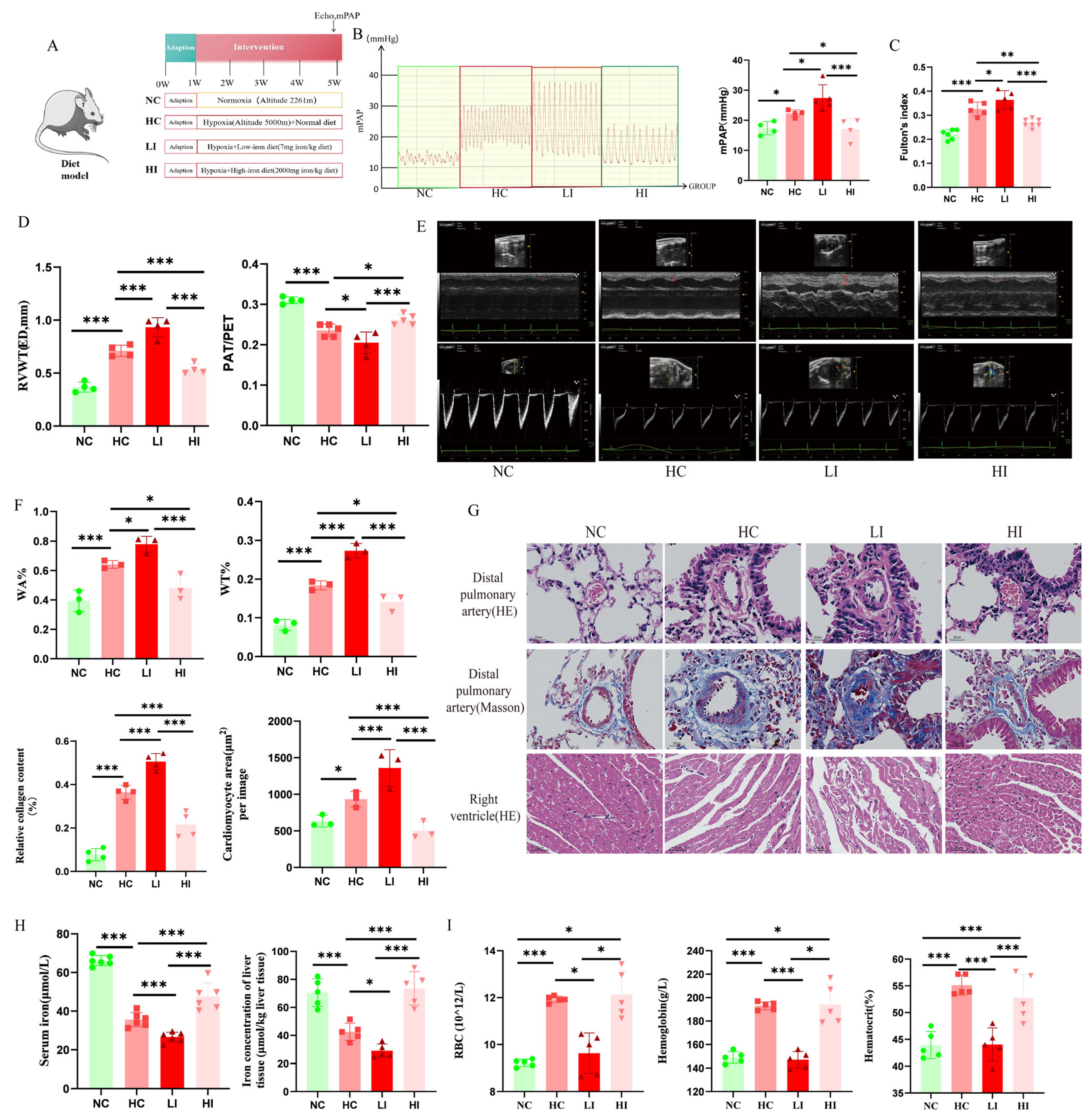 Biomolecules 15 00742 g003