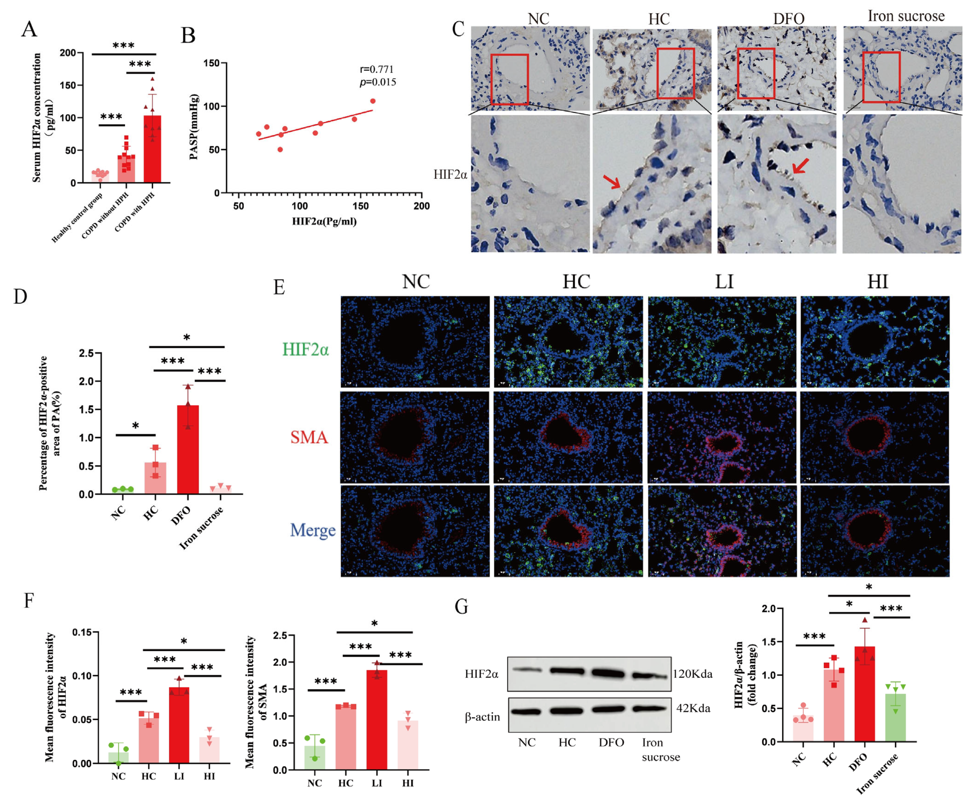 Biomolecules 15 00742 g004