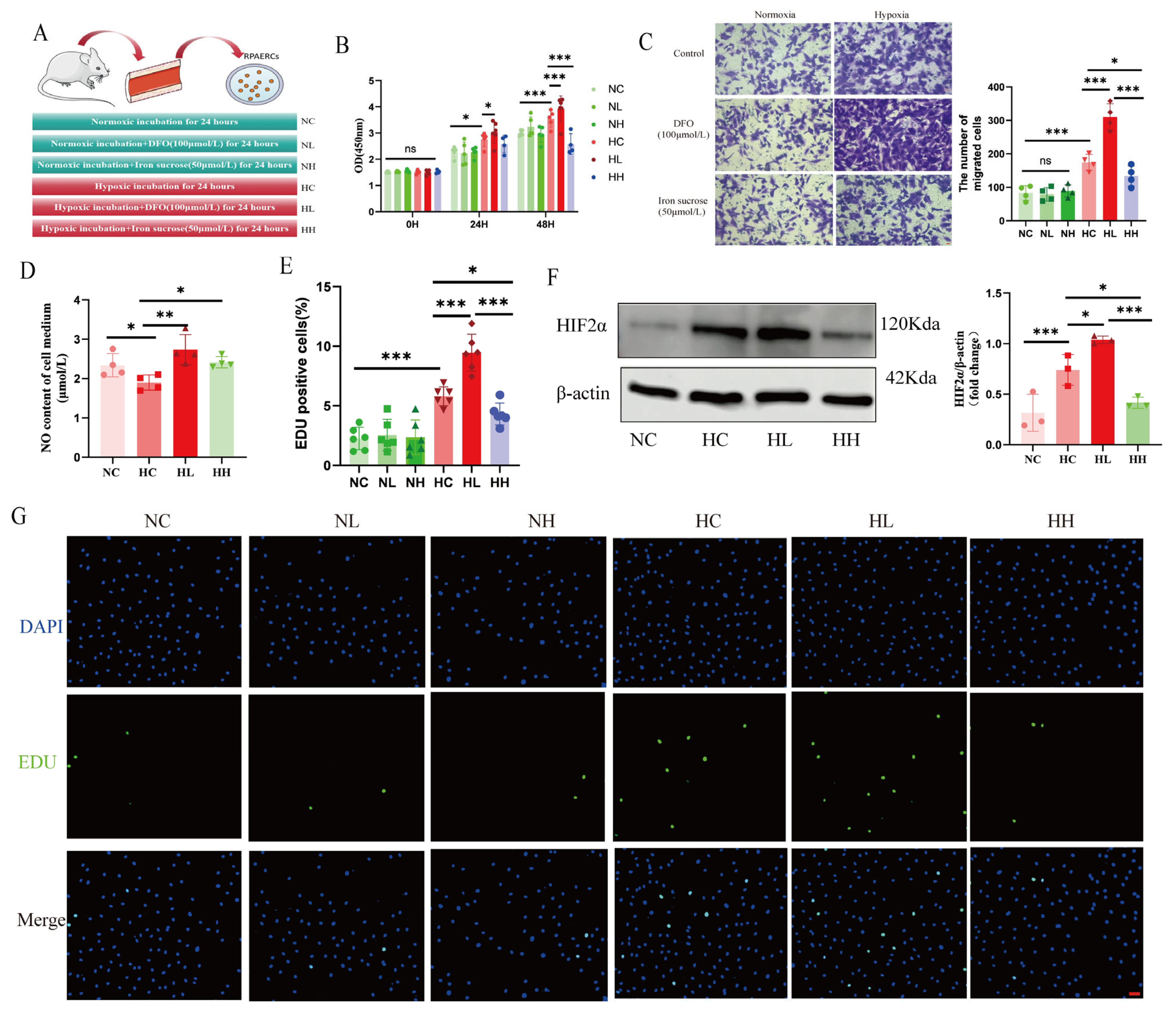 Biomolecules 15 00742 g005