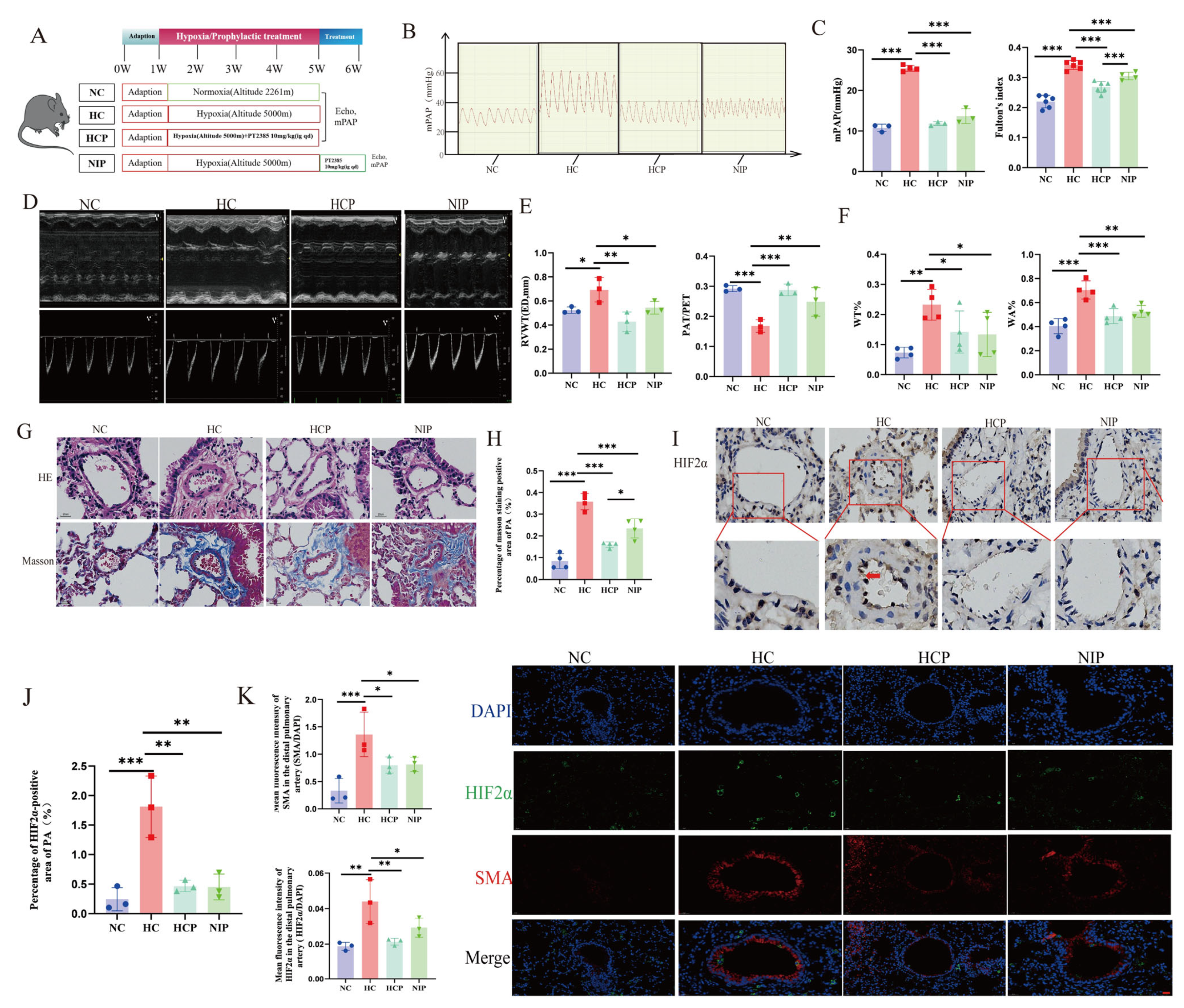 Biomolecules 15 00742 g006