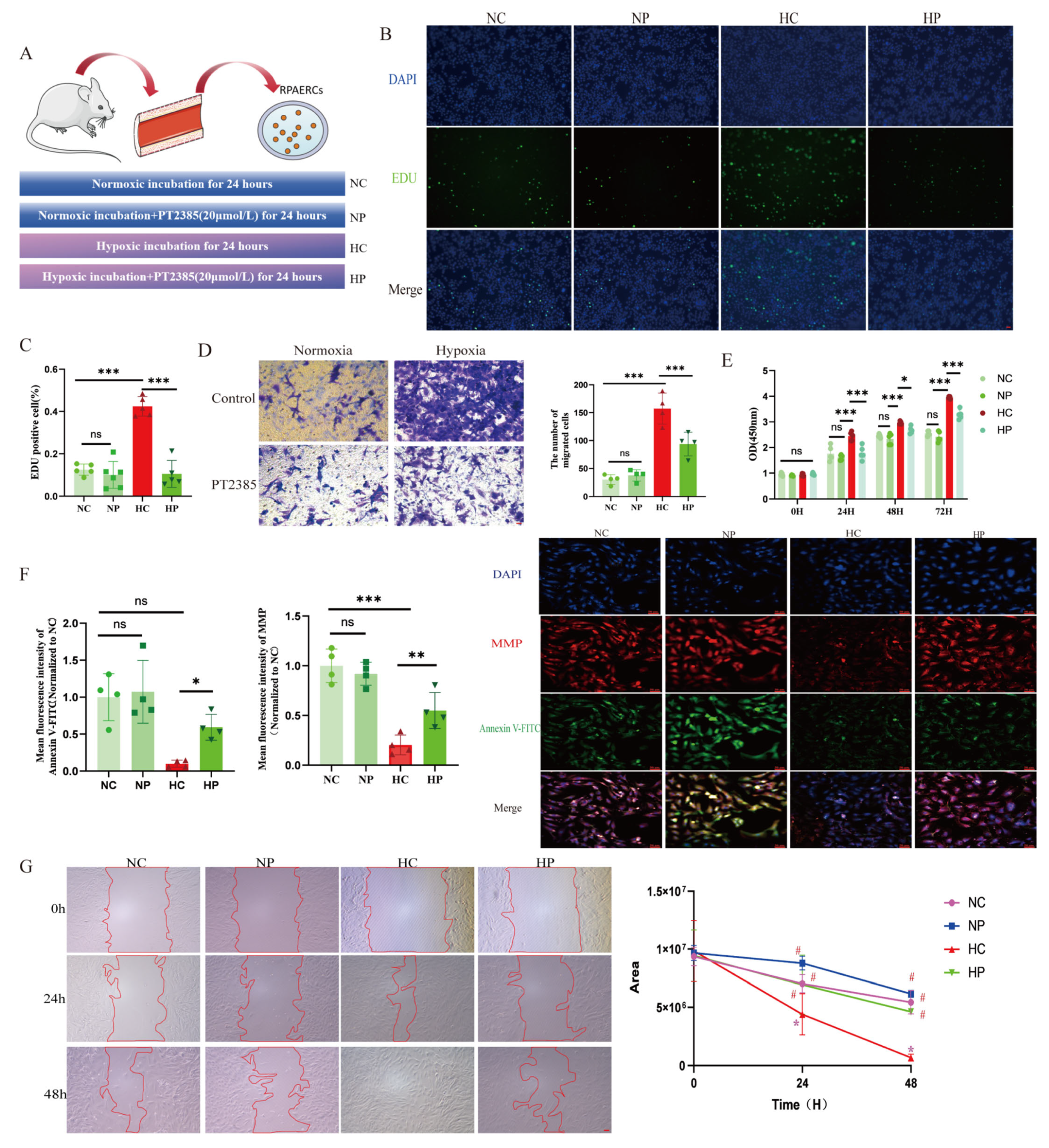 Biomolecules 15 00742 g007