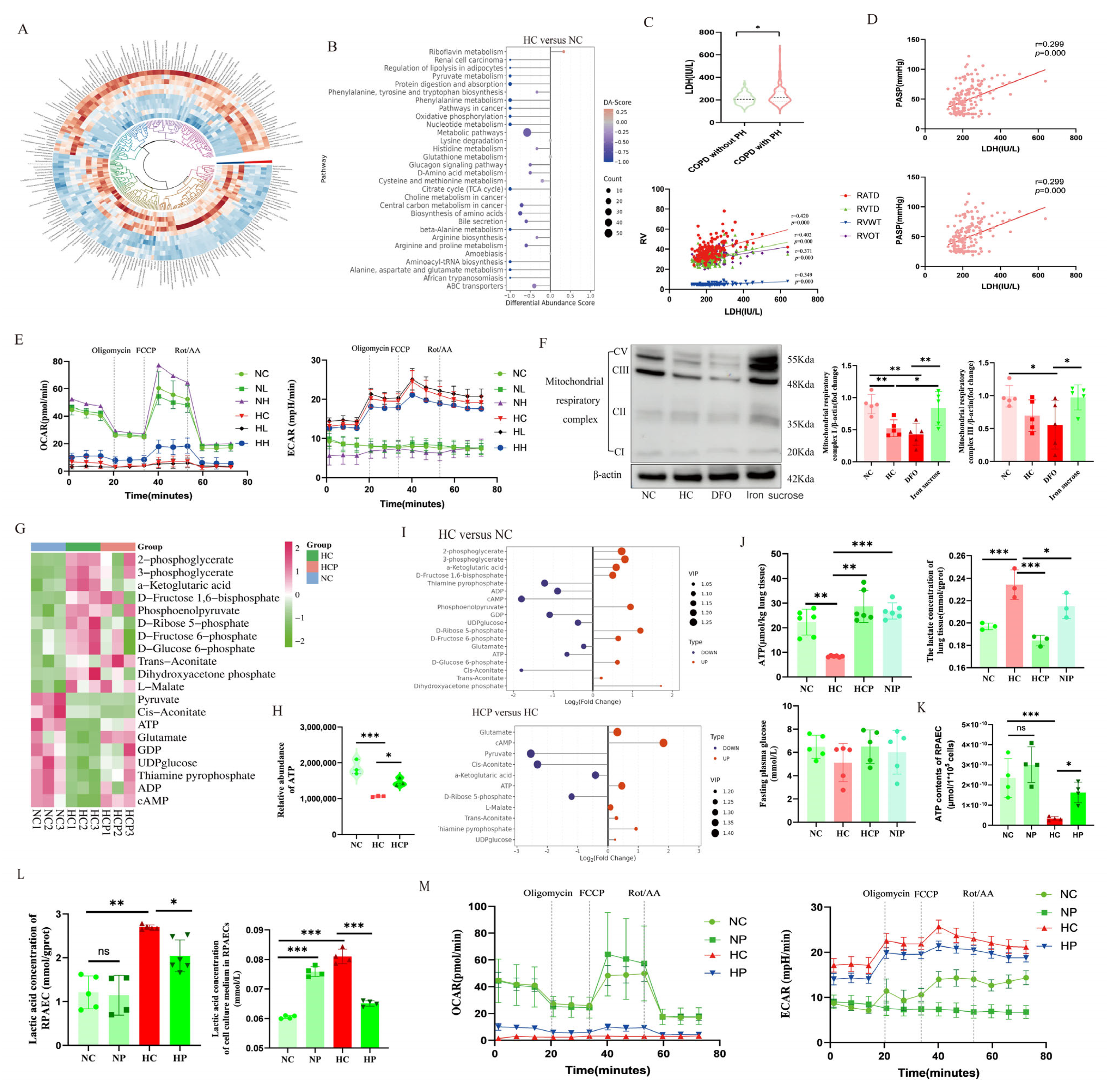 Biomolecules 15 00742 g008