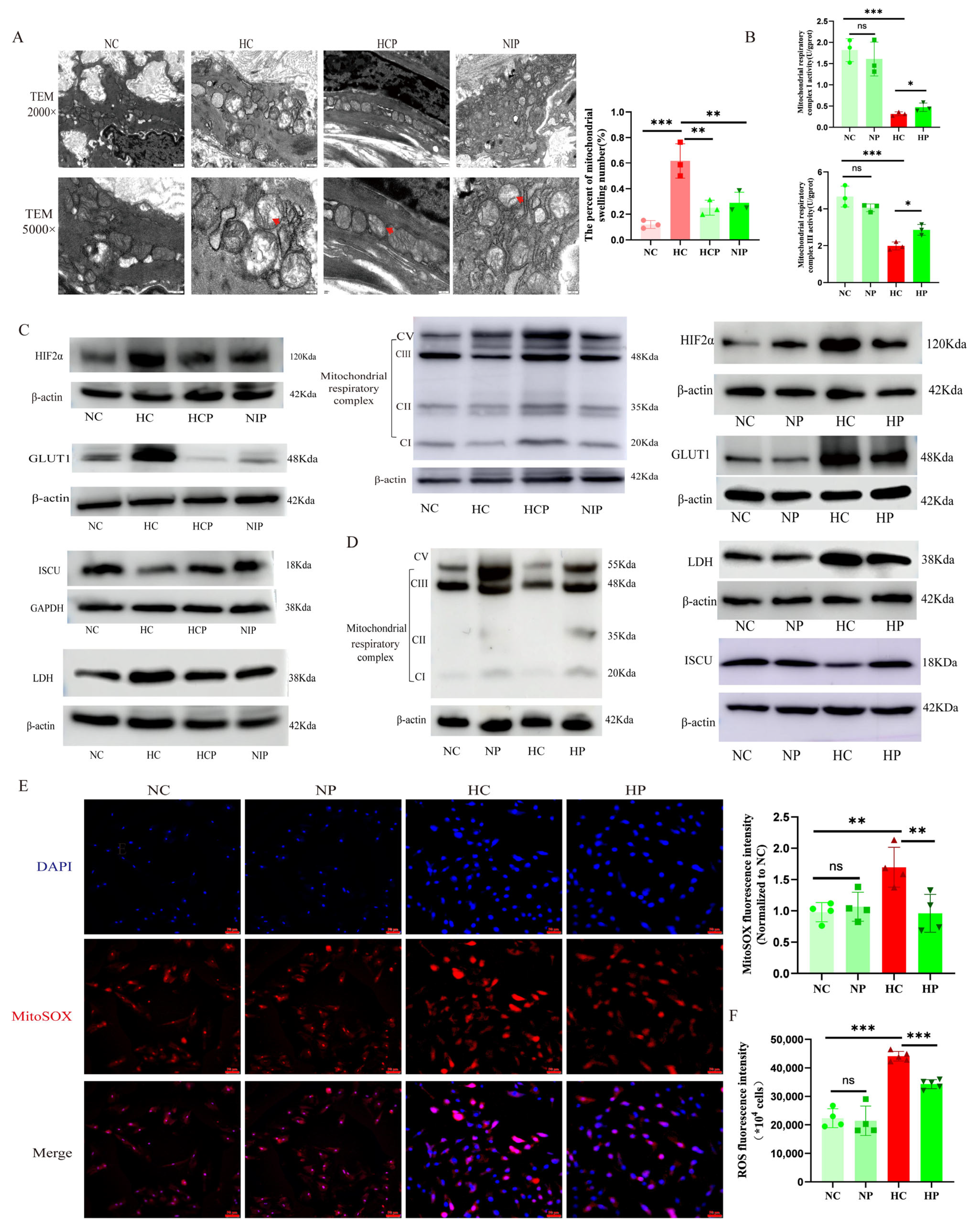 Biomolecules 15 00742 g009