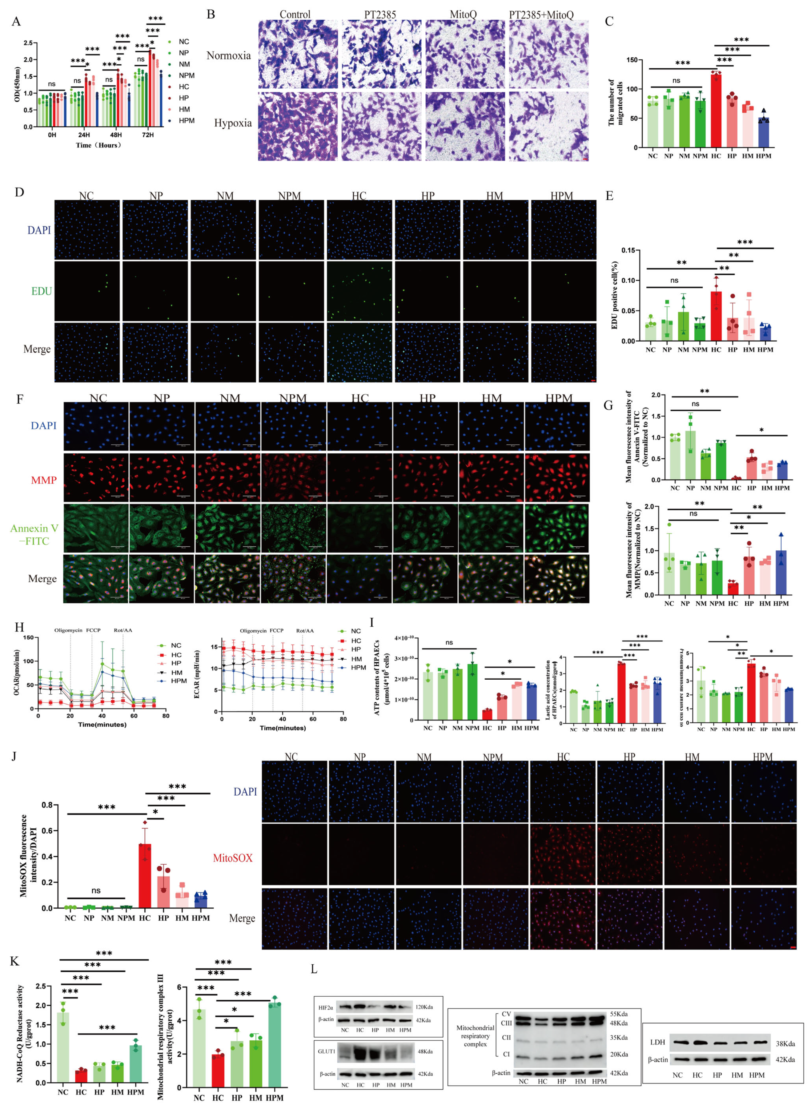 Biomolecules 15 00742 g010