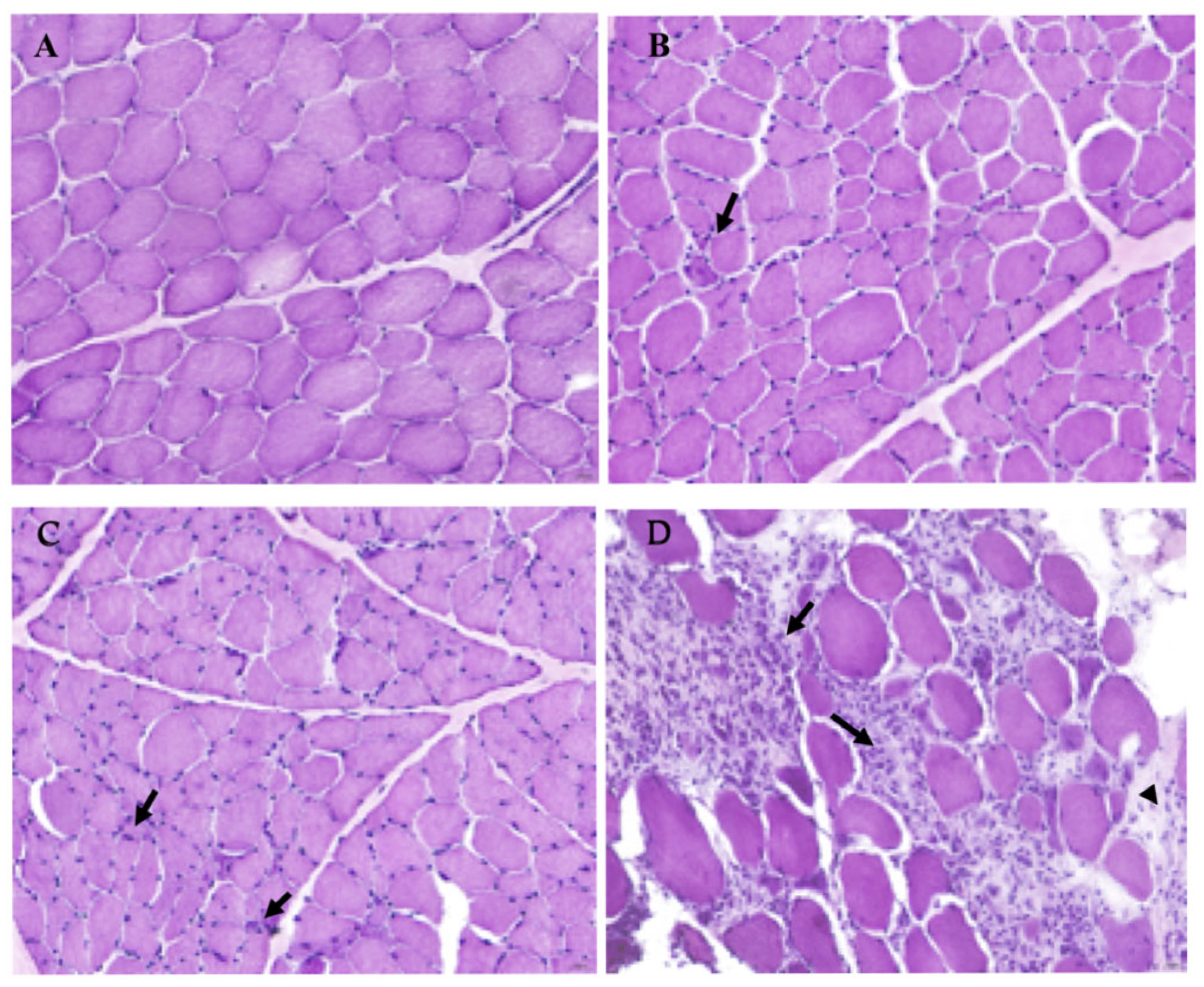 Biomolecules 15 00743 g001