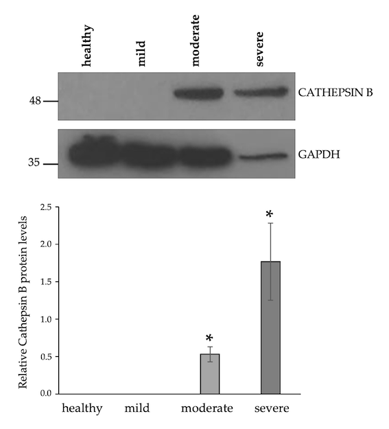 Biomolecules 15 00743 g003