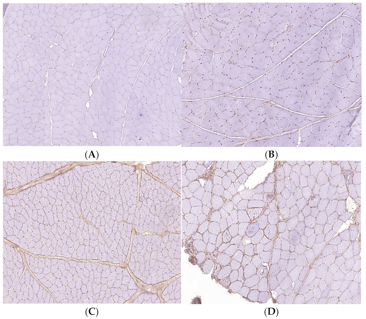 Biomolecules 15 00743 g004