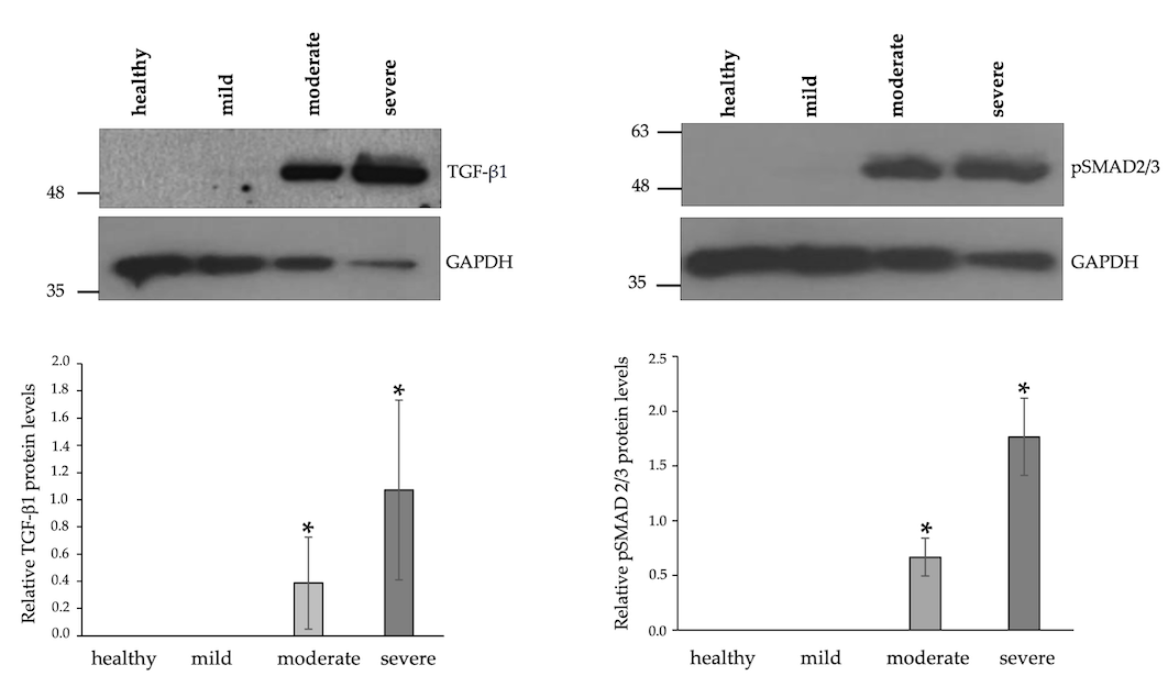 Biomolecules 15 00743 g006