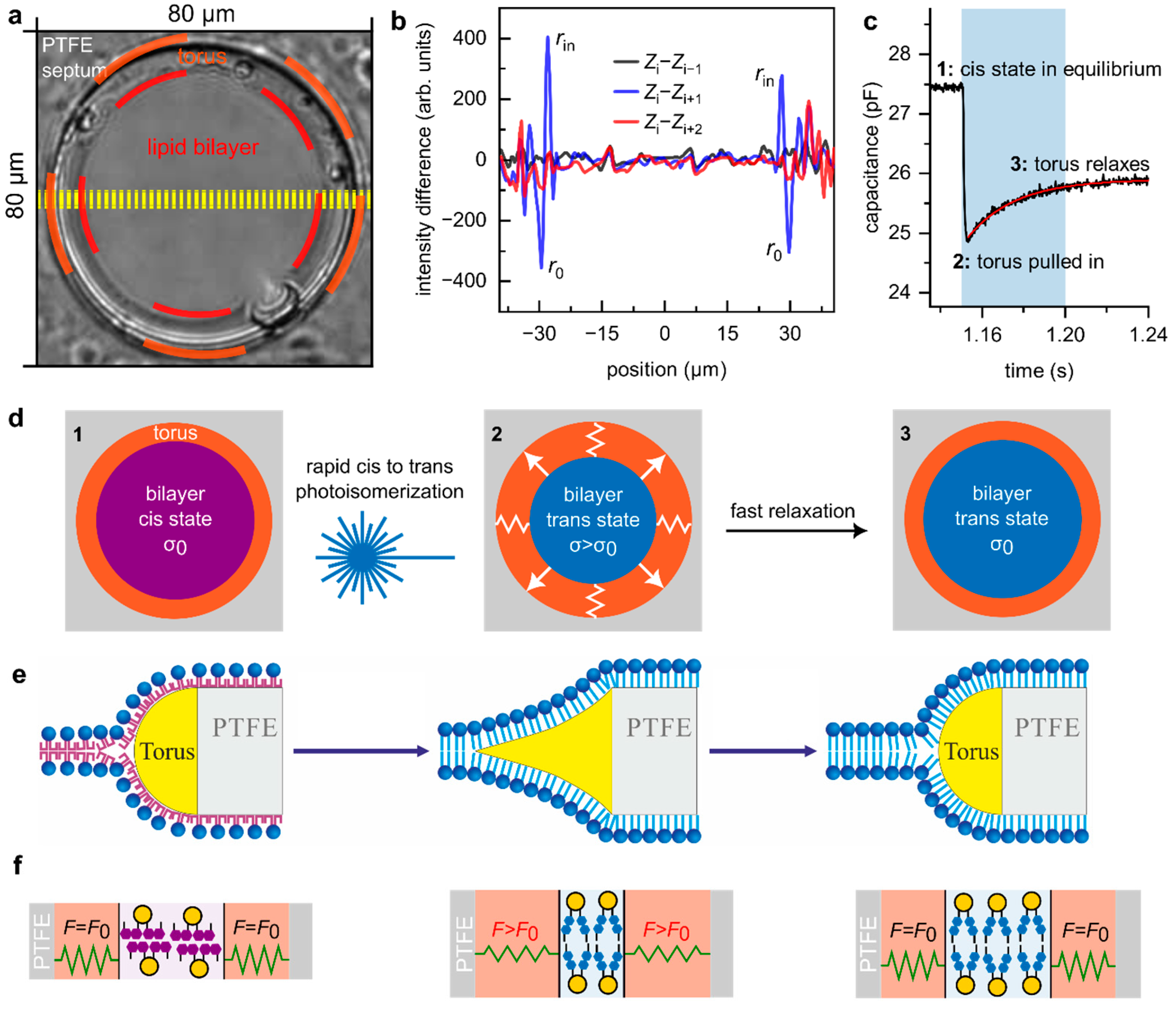 Biomolecules 15 00744 g001