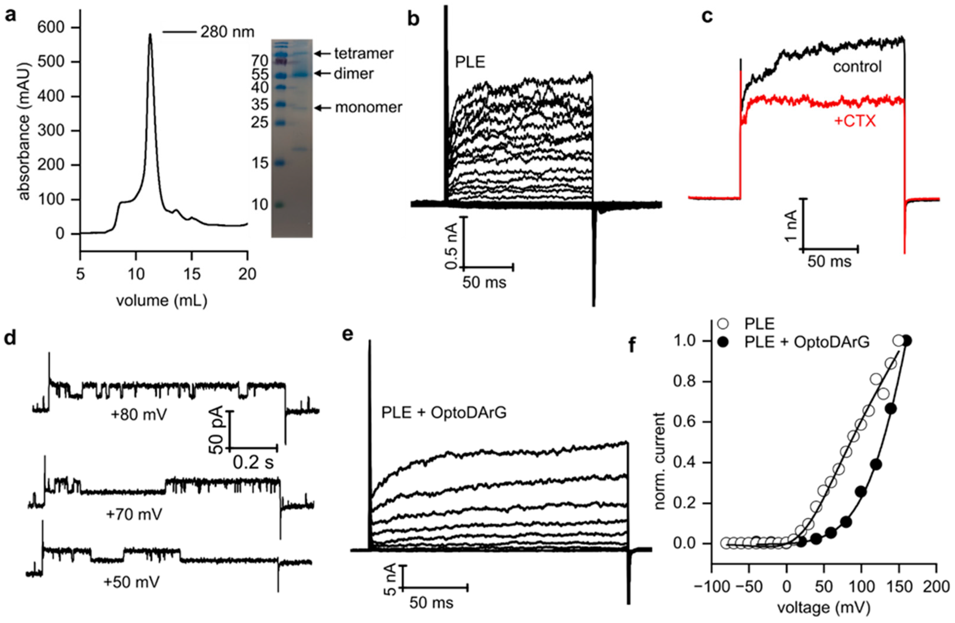 Biomolecules 15 00744 g002