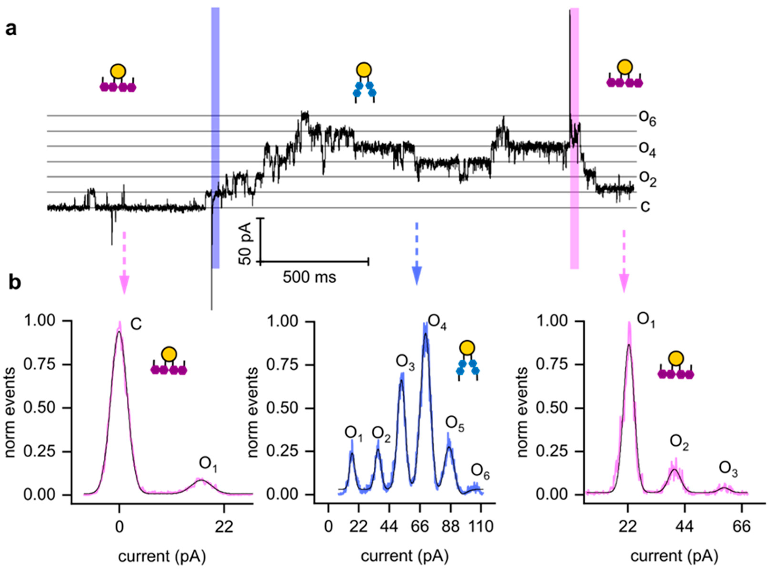 Biomolecules 15 00744 g004