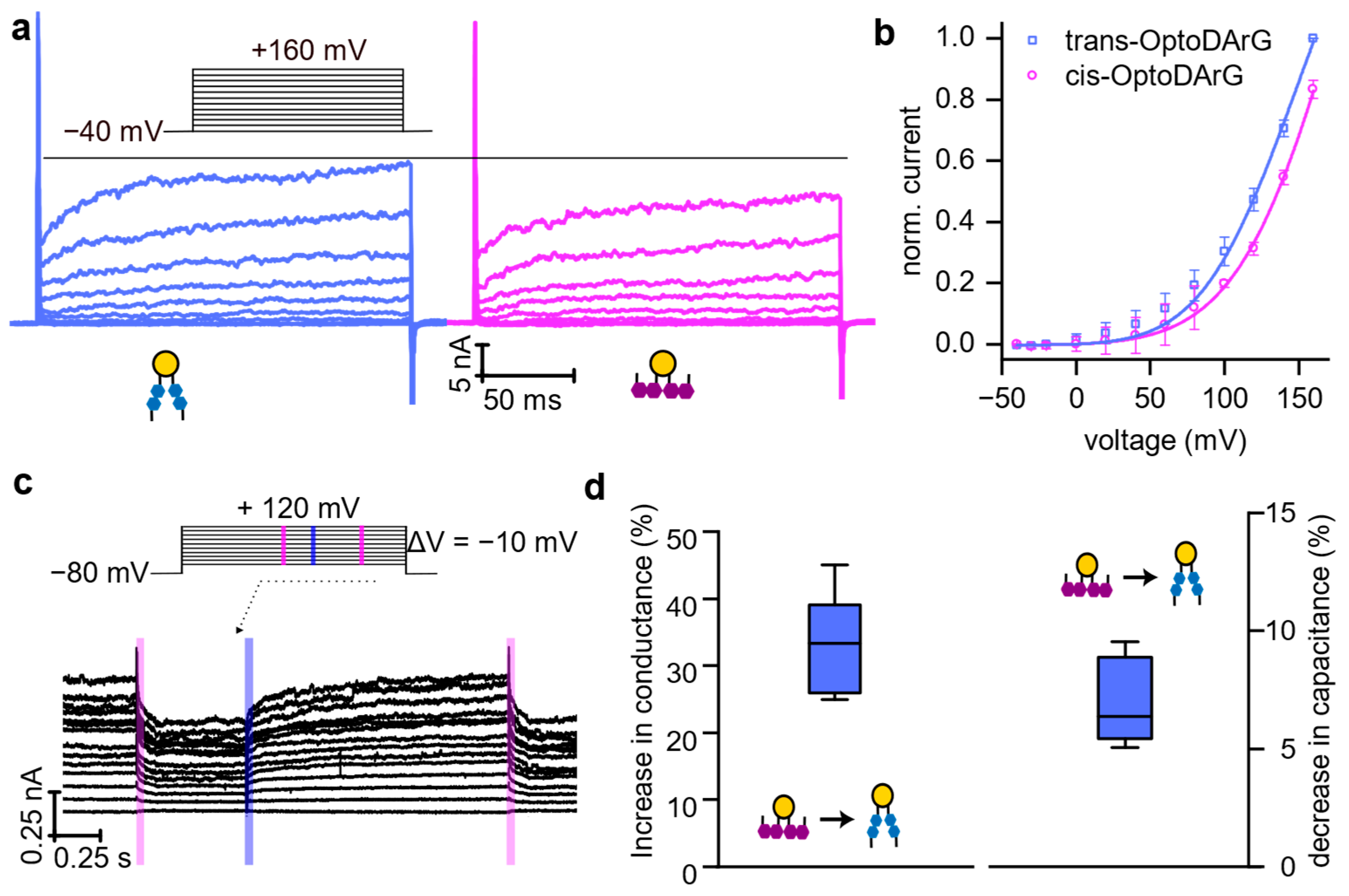 Biomolecules 15 00744 g005
