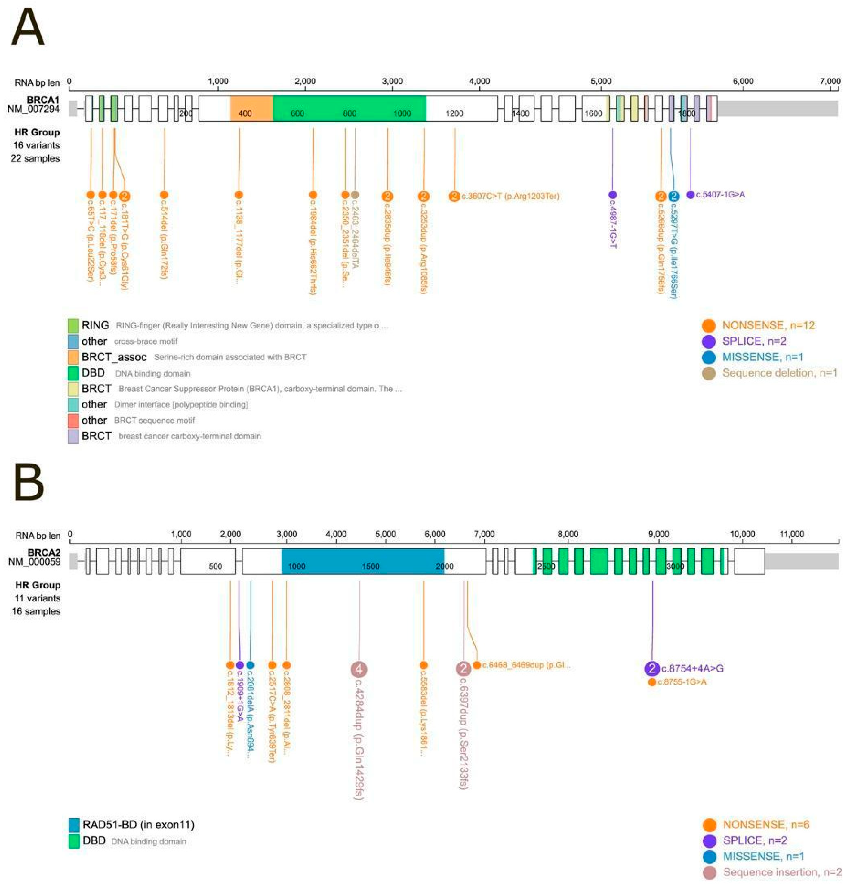 Biomolecules 15 00745 g001