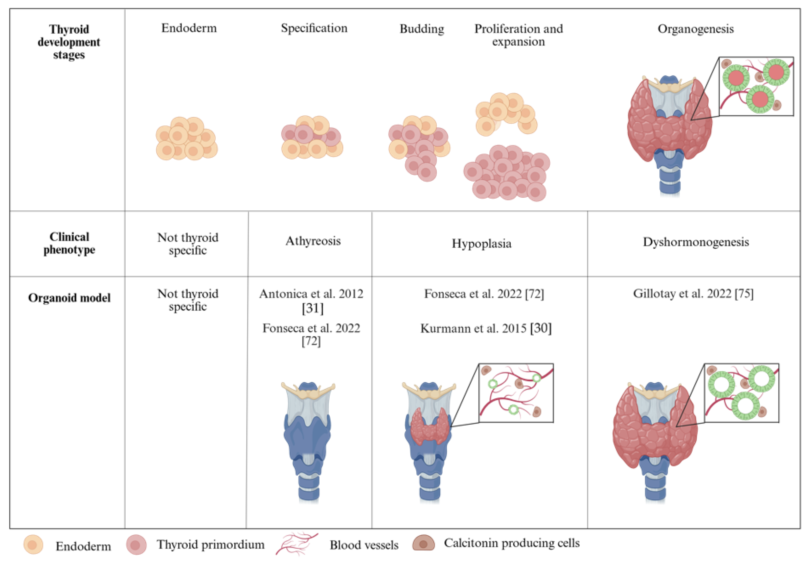 Biomolecules 15 00747 g002 Biomolecules 15 00747 g002