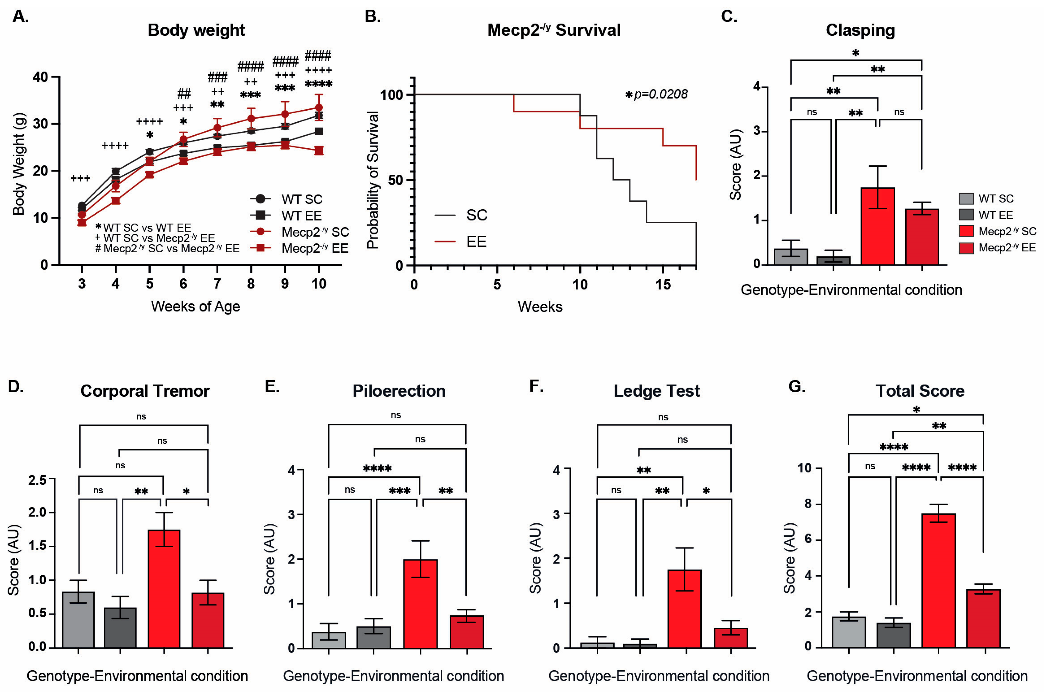 Biomolecules 15 00748 g001