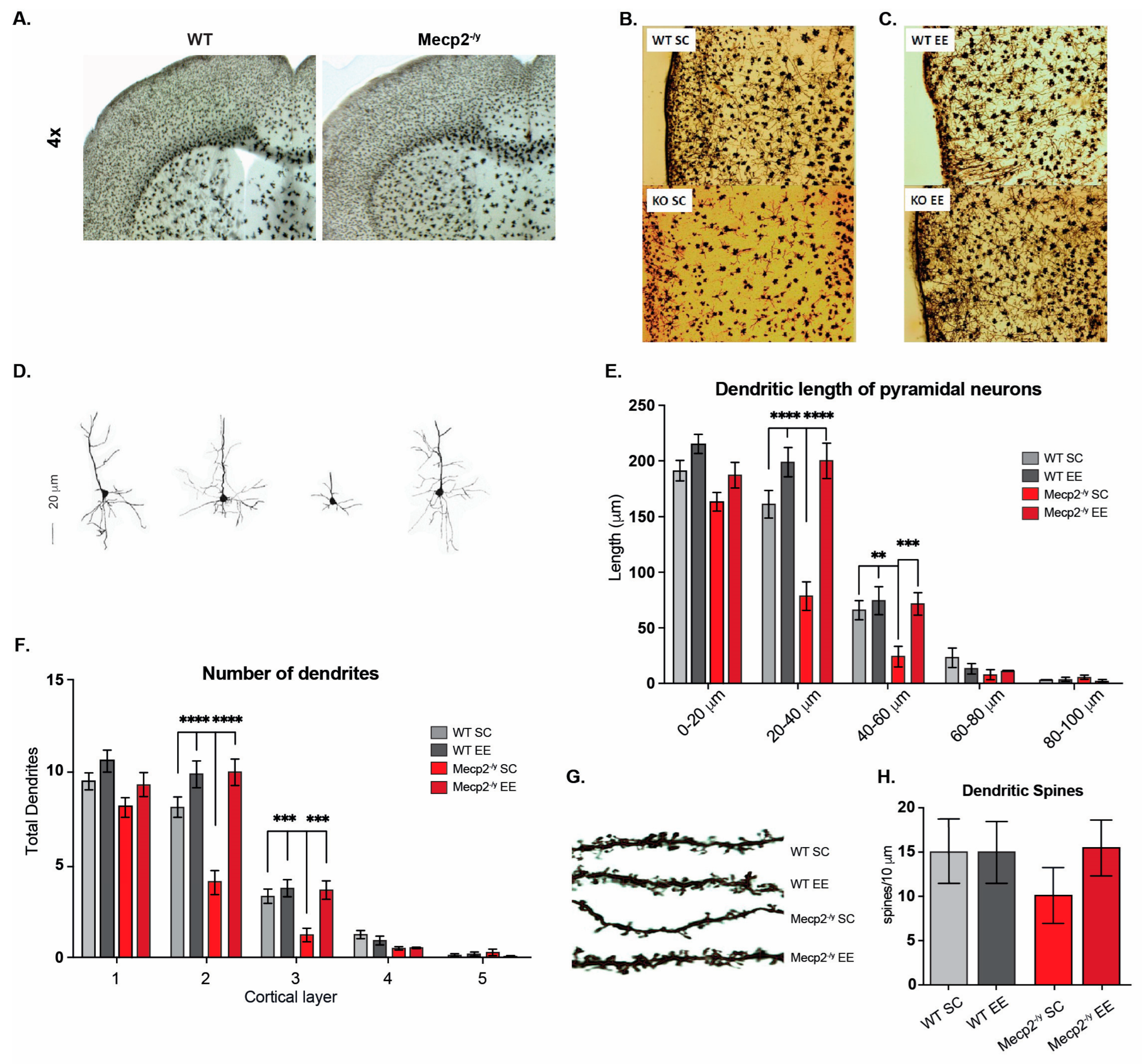 Biomolecules 15 00748 g003
