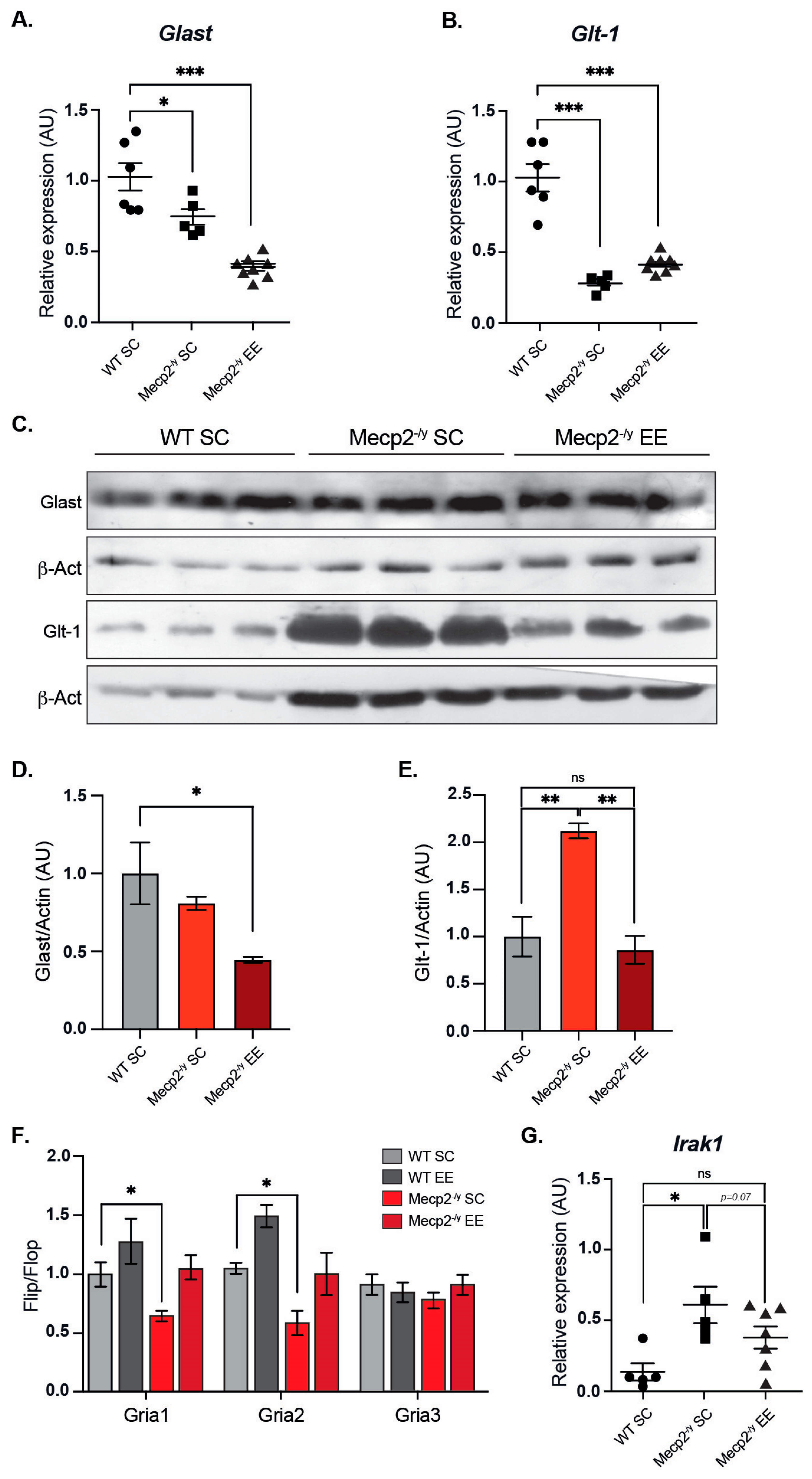 Biomolecules 15 00748 g004